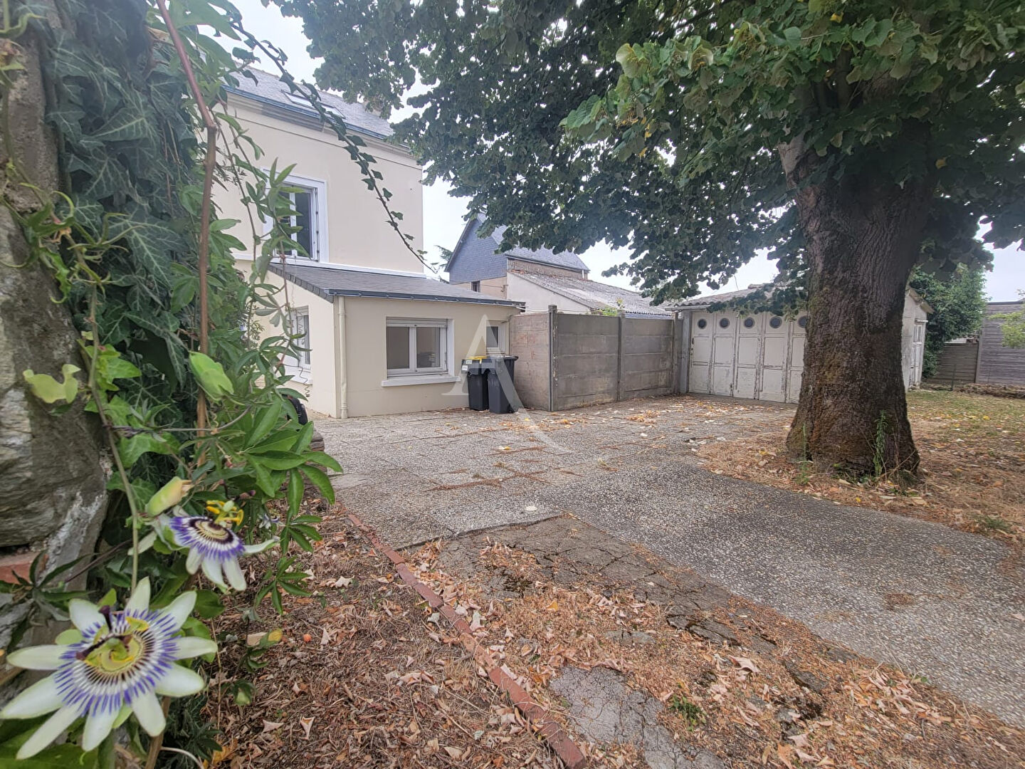 Agence immobilière de 
 L'ADRESSE 49 - L'ADRESSE CHALONNES SUR LOIRE 
