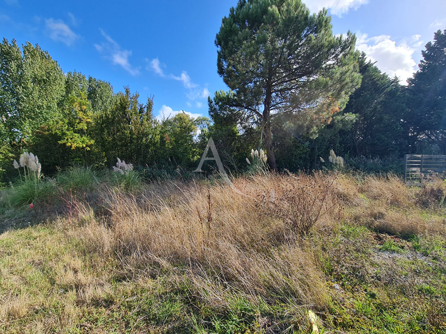 Agence immobilière de L'ADRESSE Châtelaillon Plage