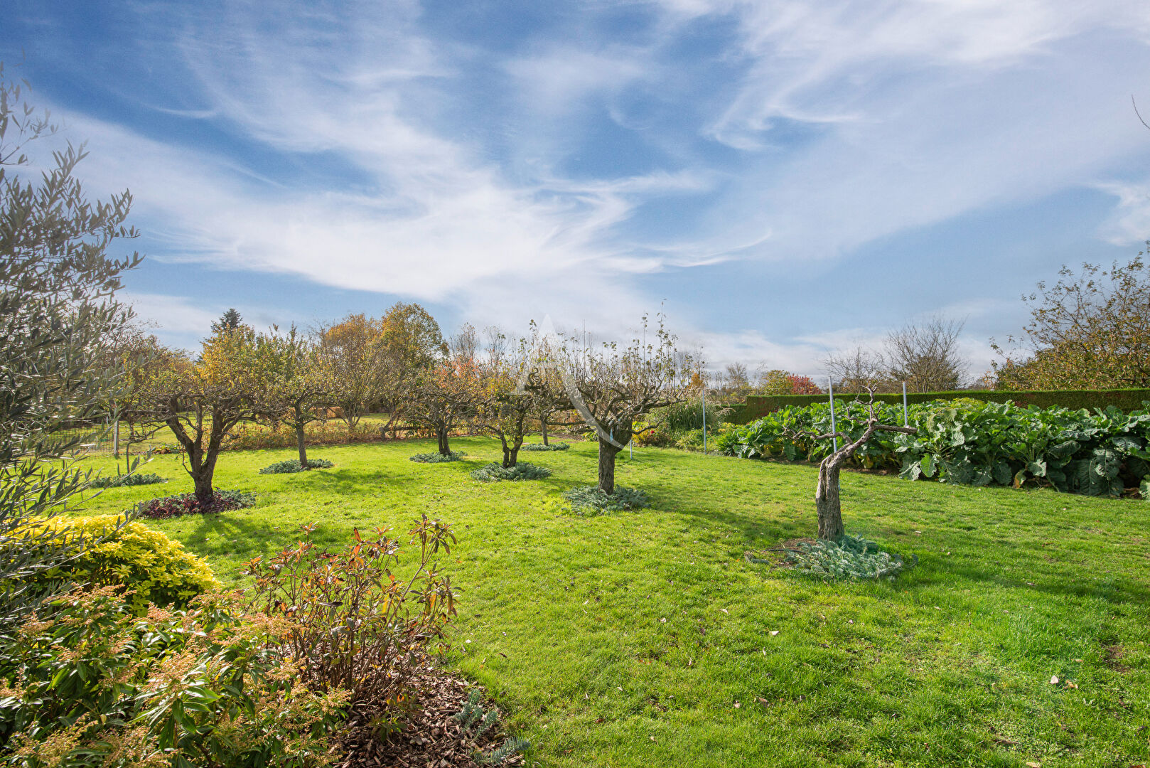 Photo Maison image 2/6