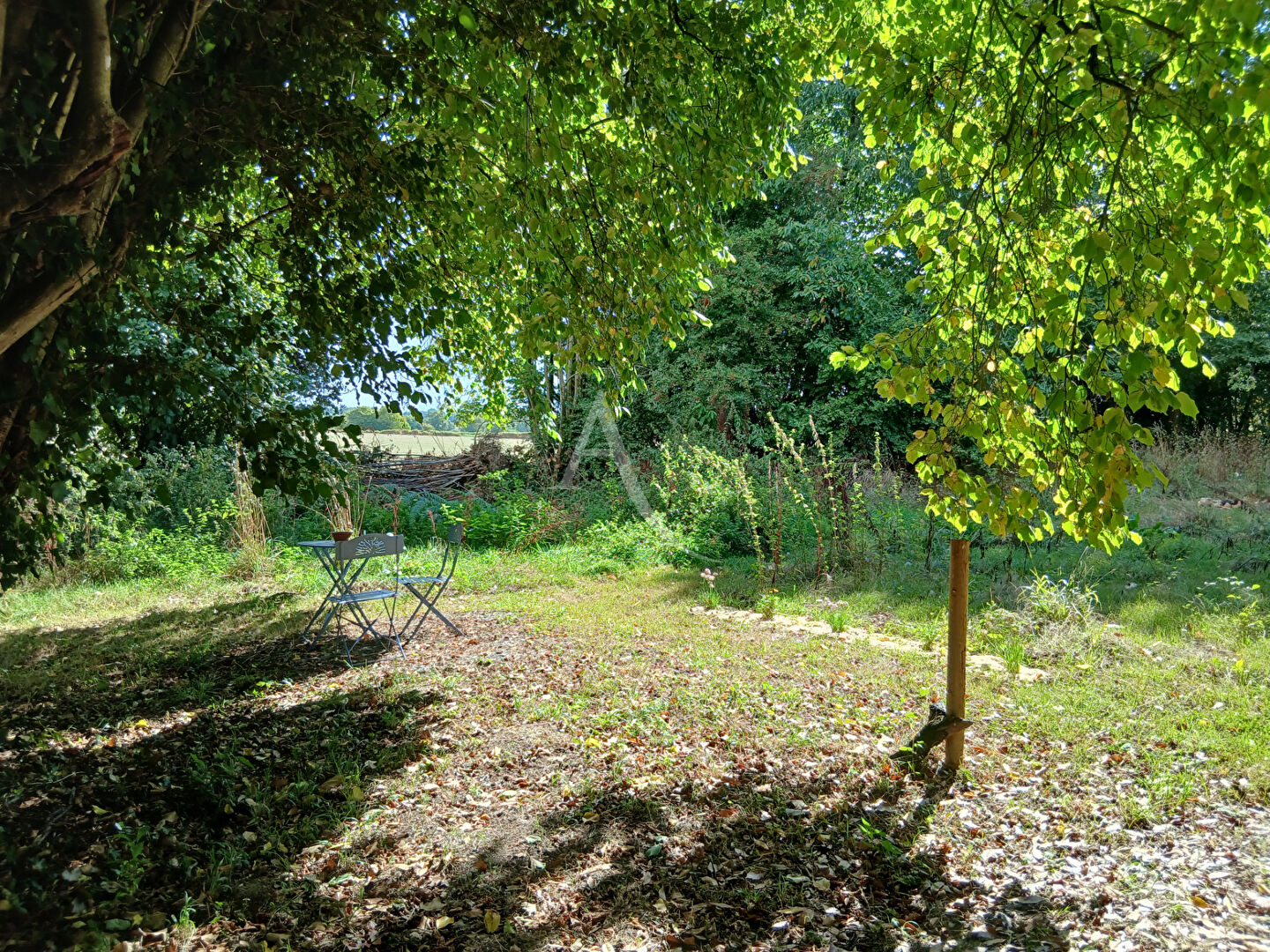 Agence immobilière de L'ADRESSE 49 - L'ADRESSE DE SEGRE