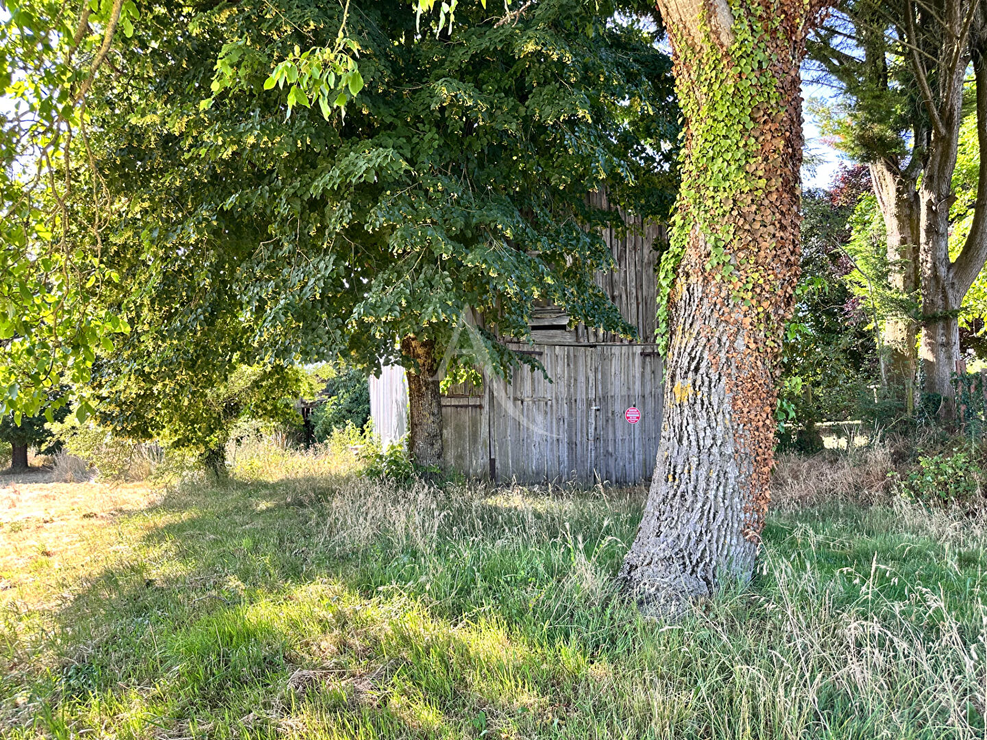 À vendre en exclusivité - Terrain avec hangar à Lasse (Noyant-Villages)