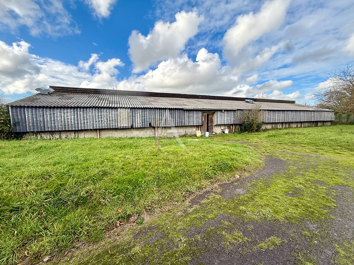 Photo TERRAIN Marigne Peuton 10480 m2 + Bâtiment 480m2 image 1/4