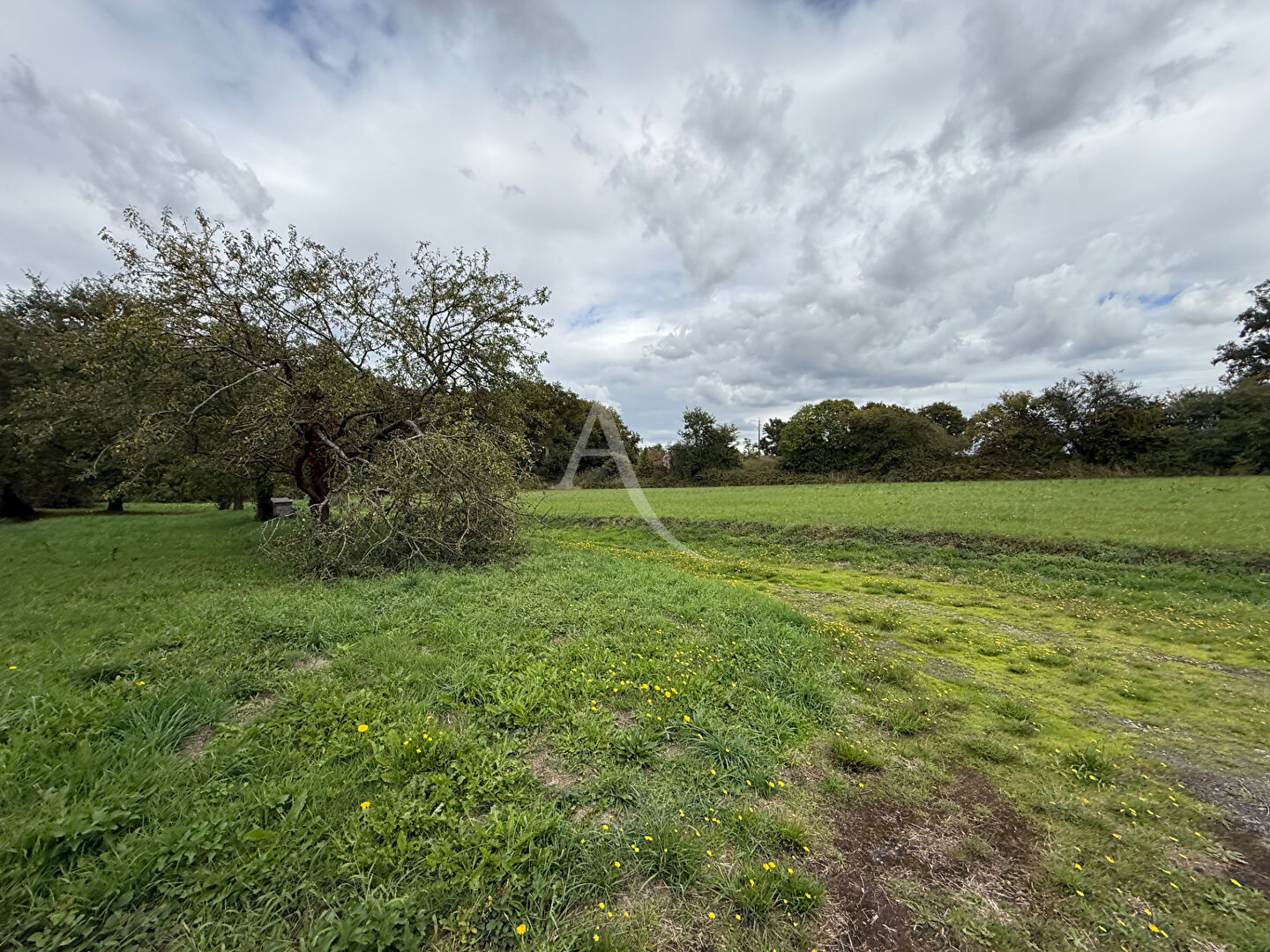 Photo TERRAIN Marigne Peuton 10480 m2 + Bâtiment 480m2 image 2/4