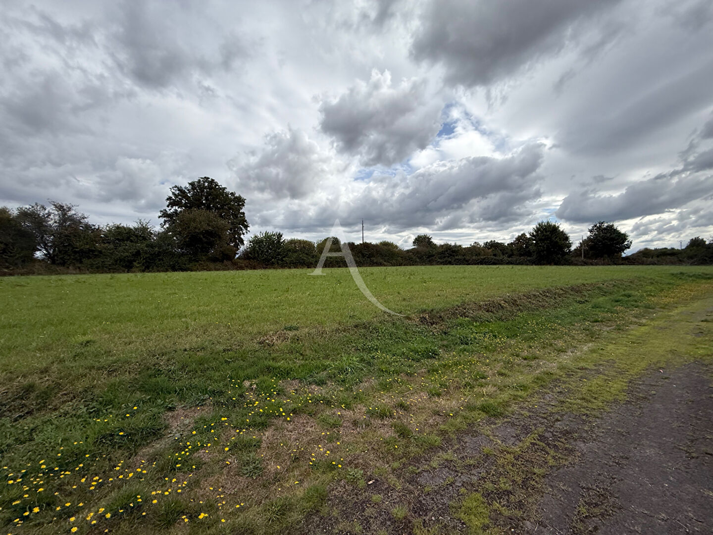 Photo TERRAIN Marigne Peuton 10480 m2 + Bâtiment 480m2 image 3/4