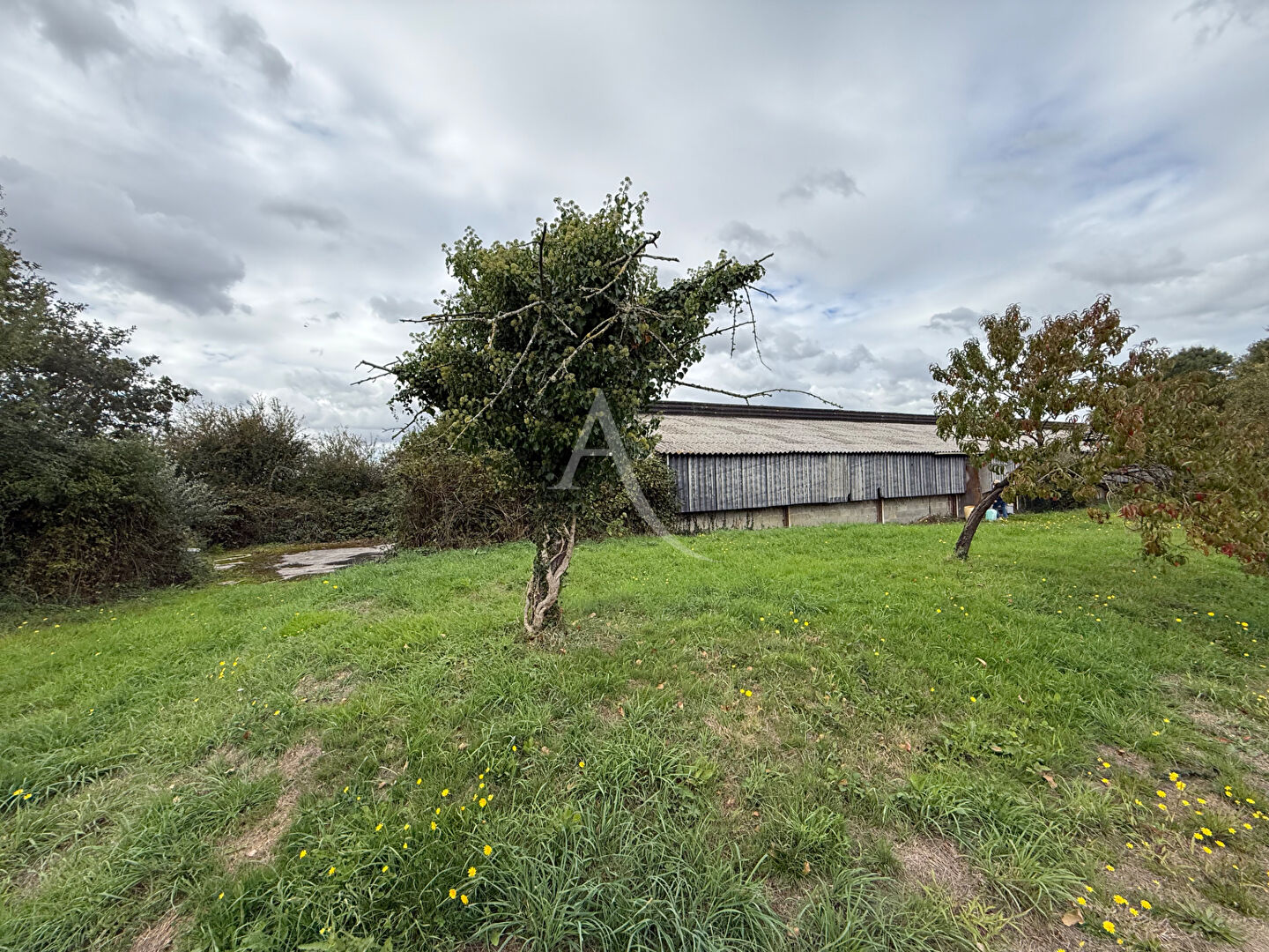 Photo TERRAIN Marigne Peuton 10480 m2 + Bâtiment 480m2 image 4/4