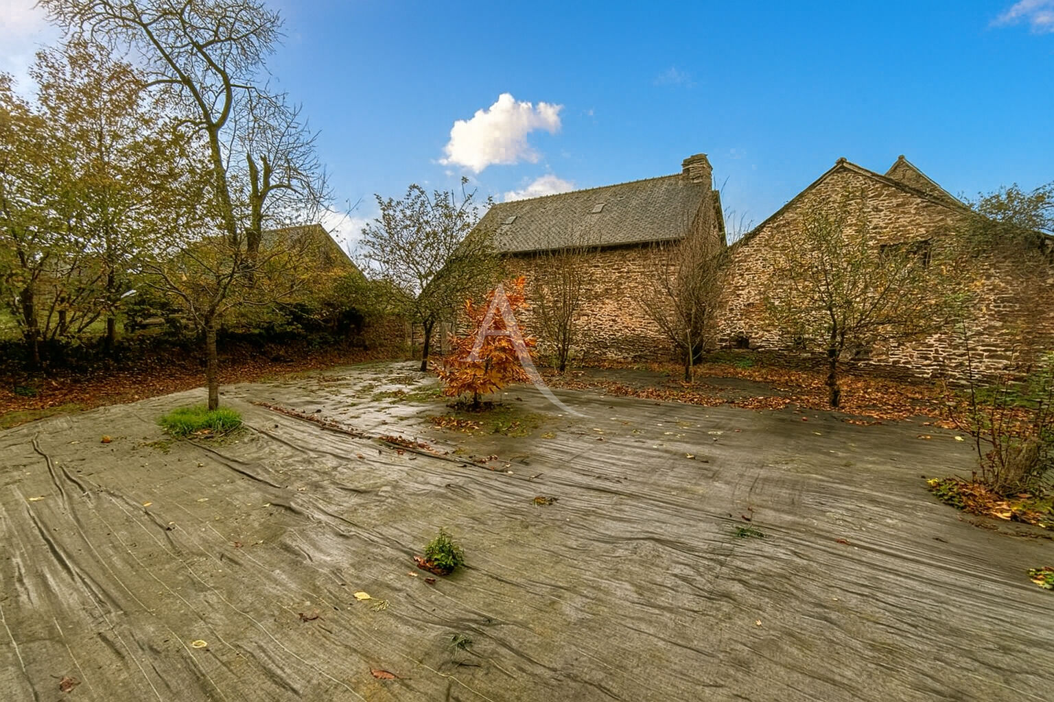 Photo Maison La Haie Traversaine 2 pièce(s) 99 m2 image 5/5