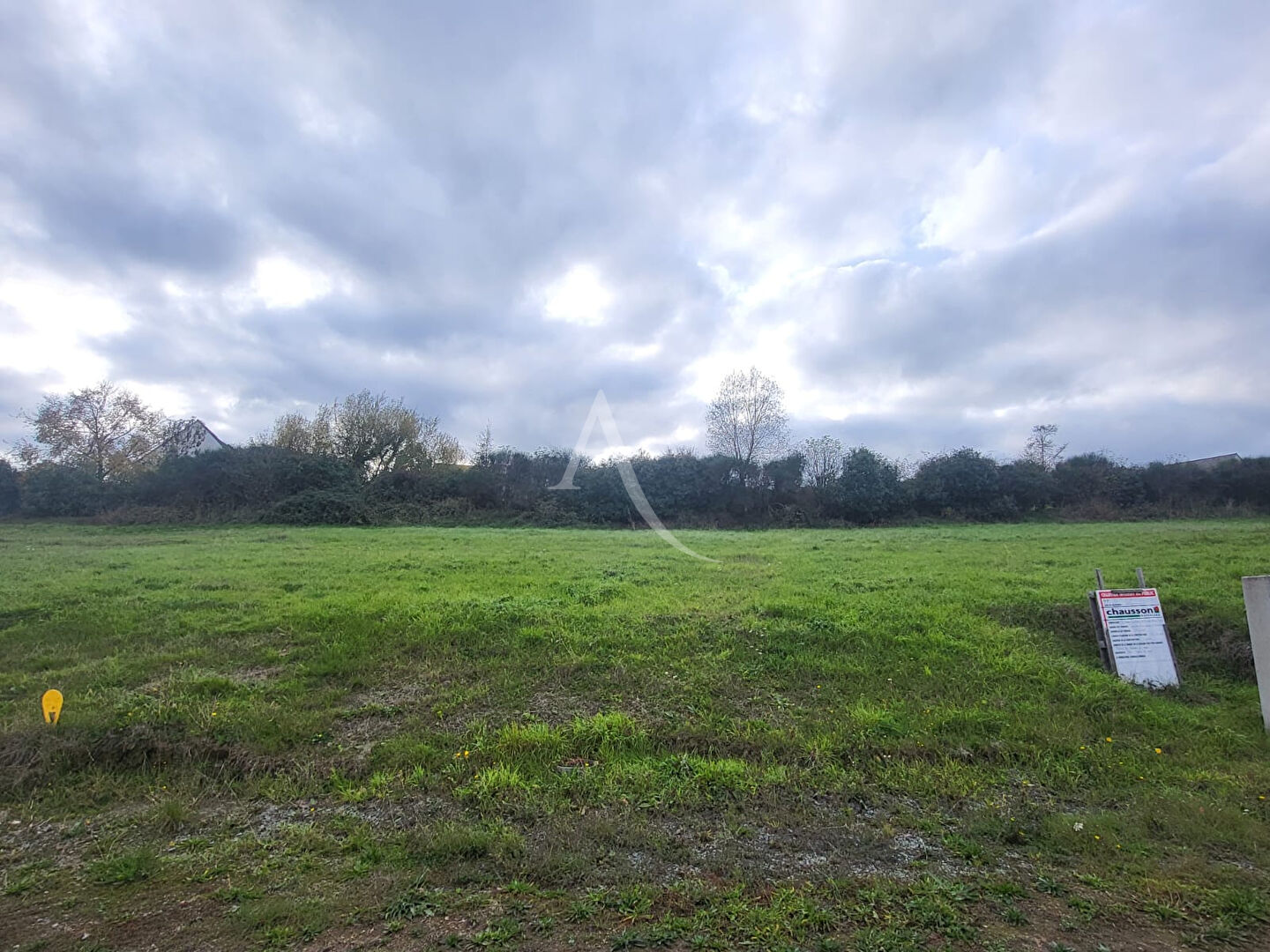 Terrain Chalonnes Sur Loire