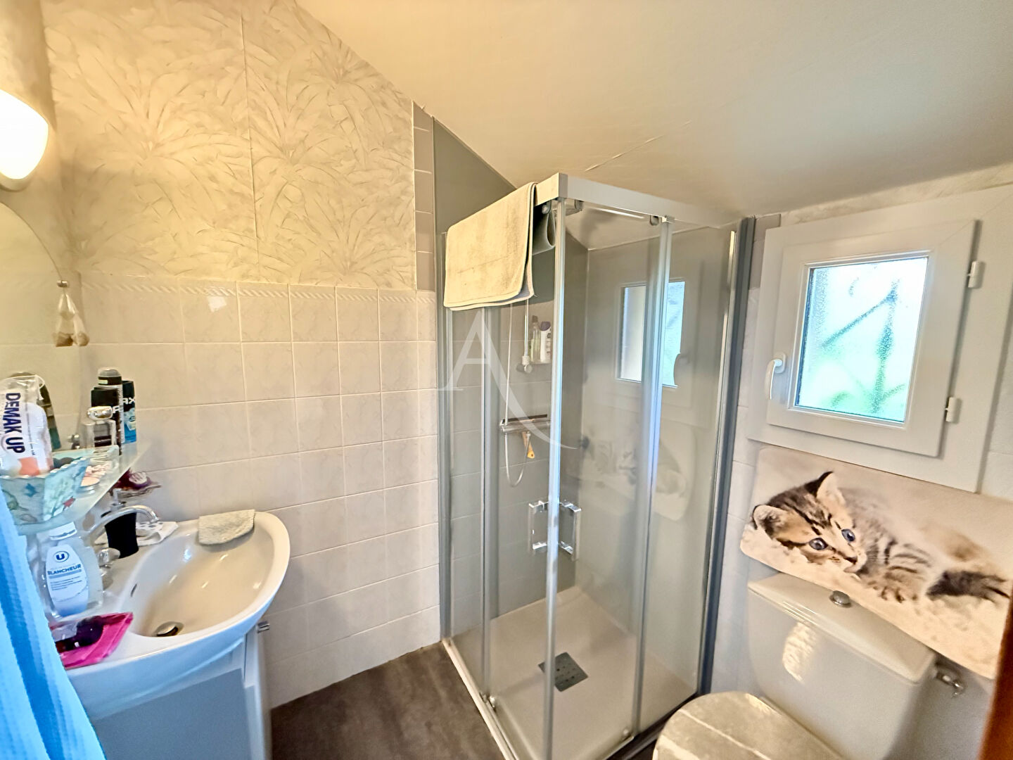 Photo Maison Arquenay 5 pièces 91 m2 image 6/6