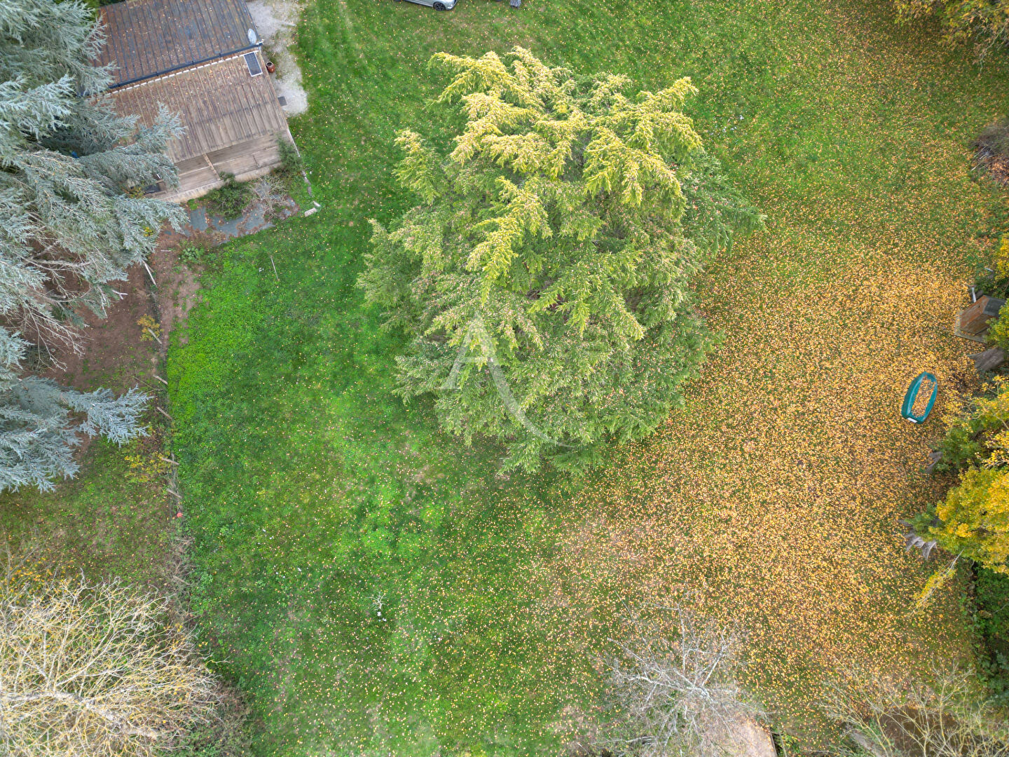 Photo Terrain + Chalet Villiers Charlemagne image 3/6