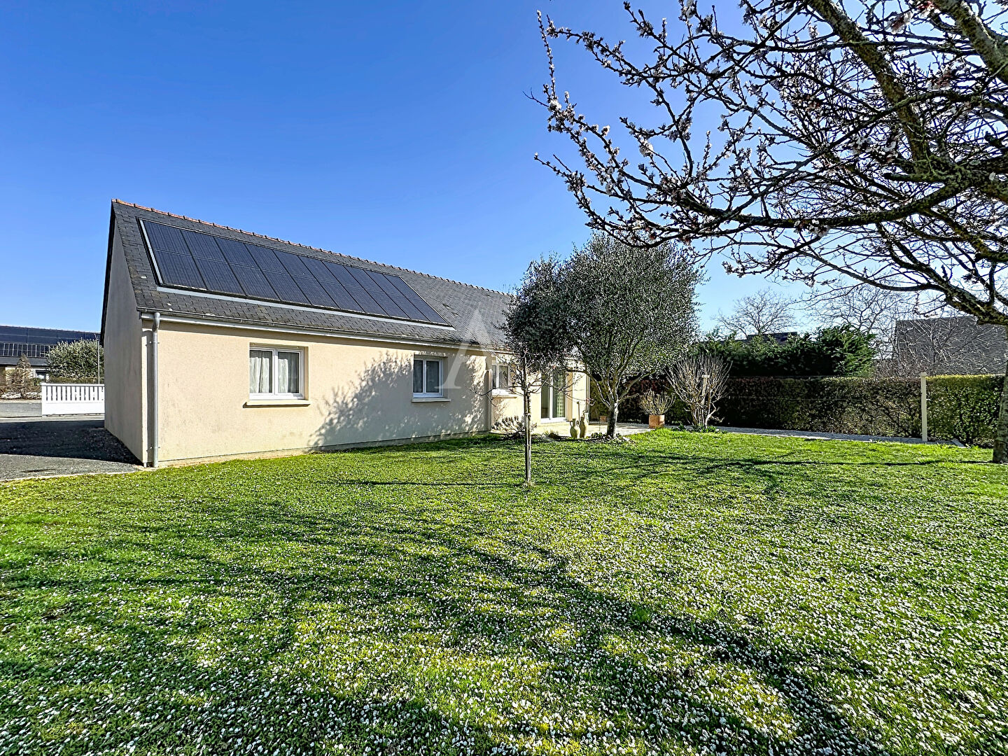 Agence immobilière de L'ADRESSE 49 - L'ADRESSE DE THOUARCE