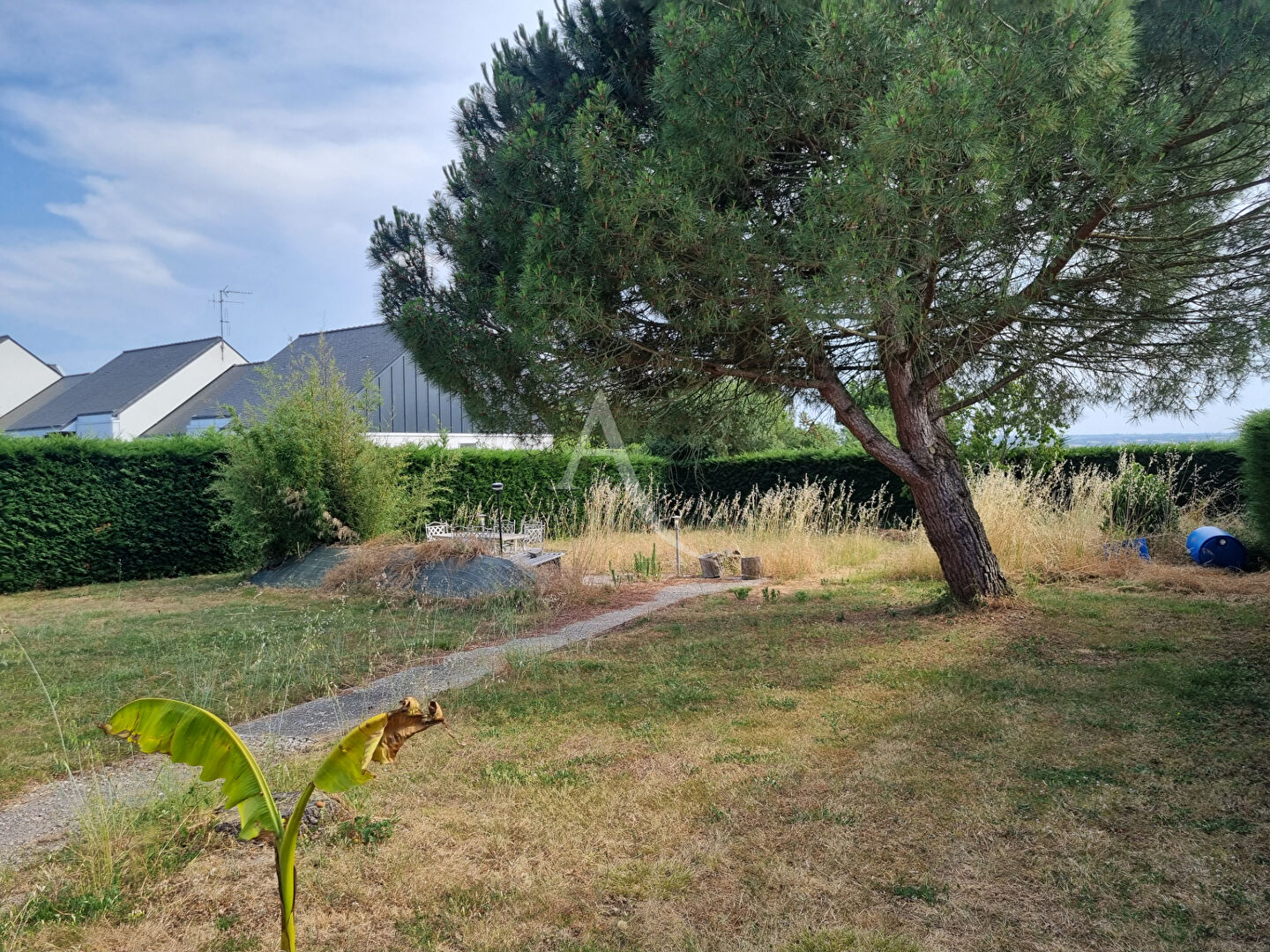 Agence immobilière de 
 L'ADRESSE 49 - L'ADRESSE CHALONNES SUR LOIRE 
