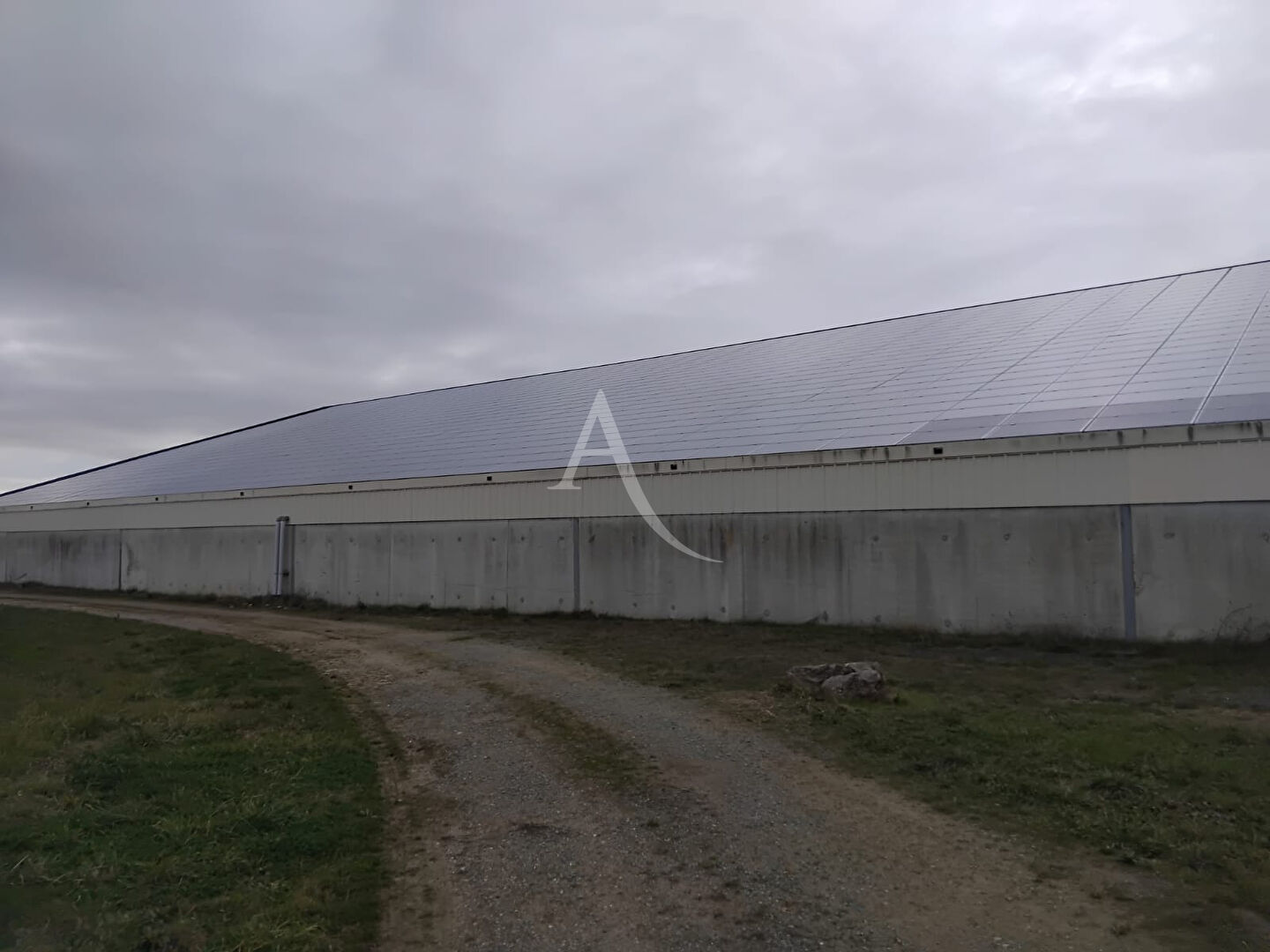 Photo Entrepôt / local industriel Chavagnes 1440 m2 image 2/6