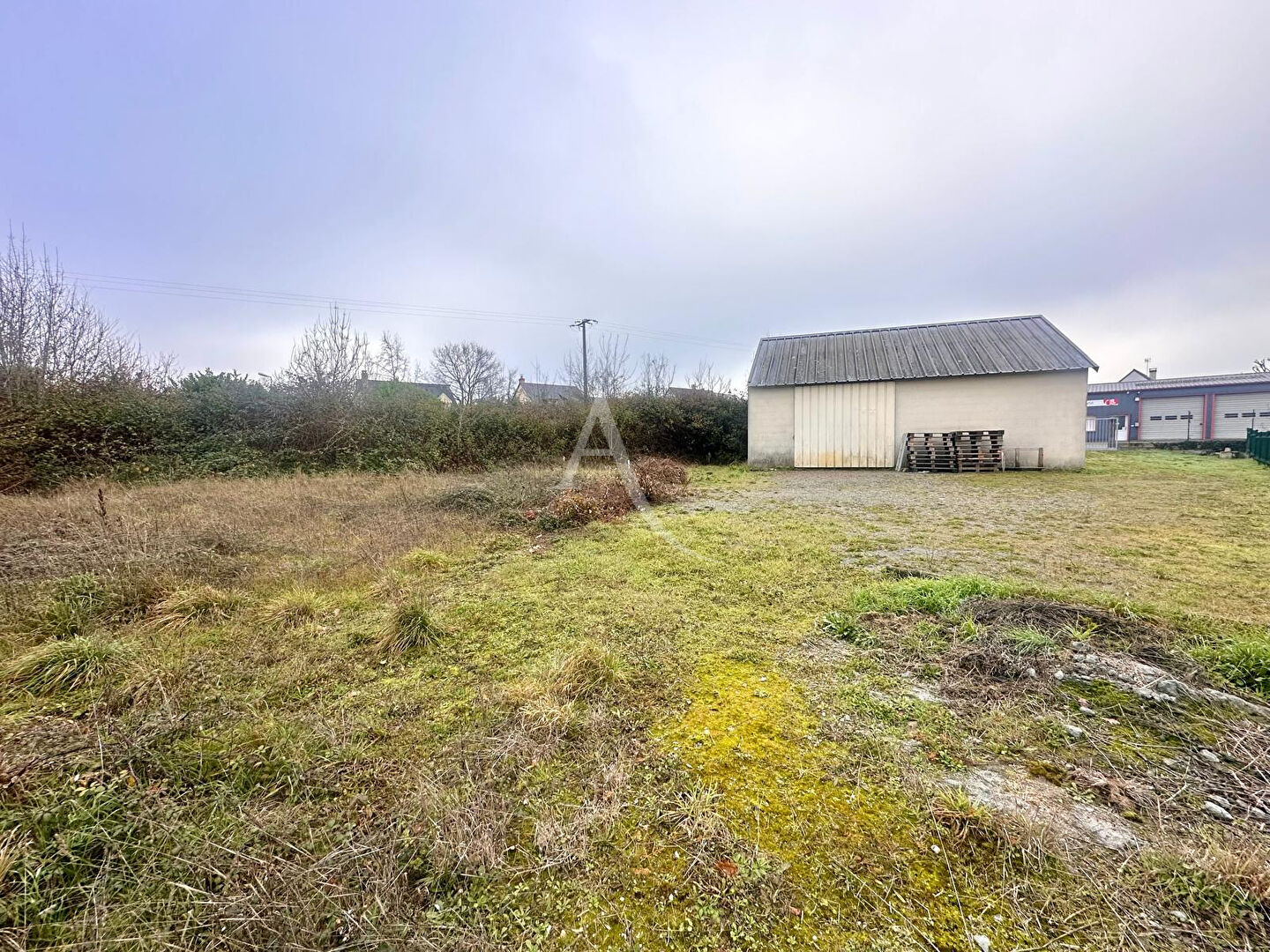 Photo Local d'activité image 2/2