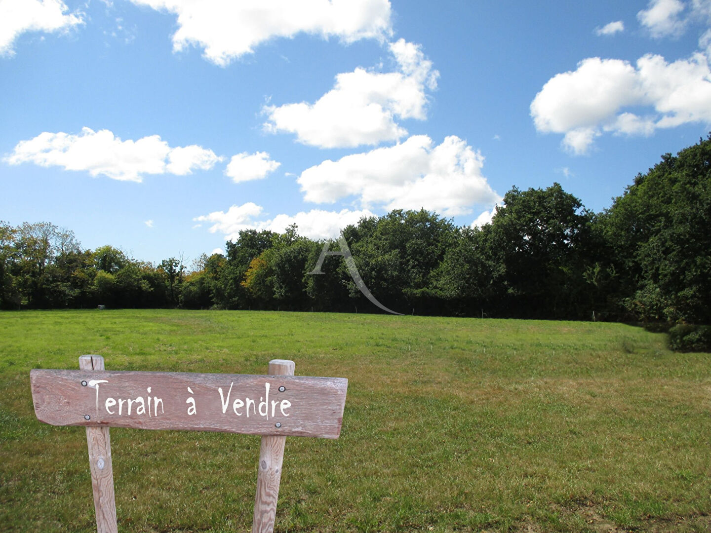Agence immobilière de L'ADRESSE 49 - L'ADRESSE DE BEAUFORT EN VALLEE