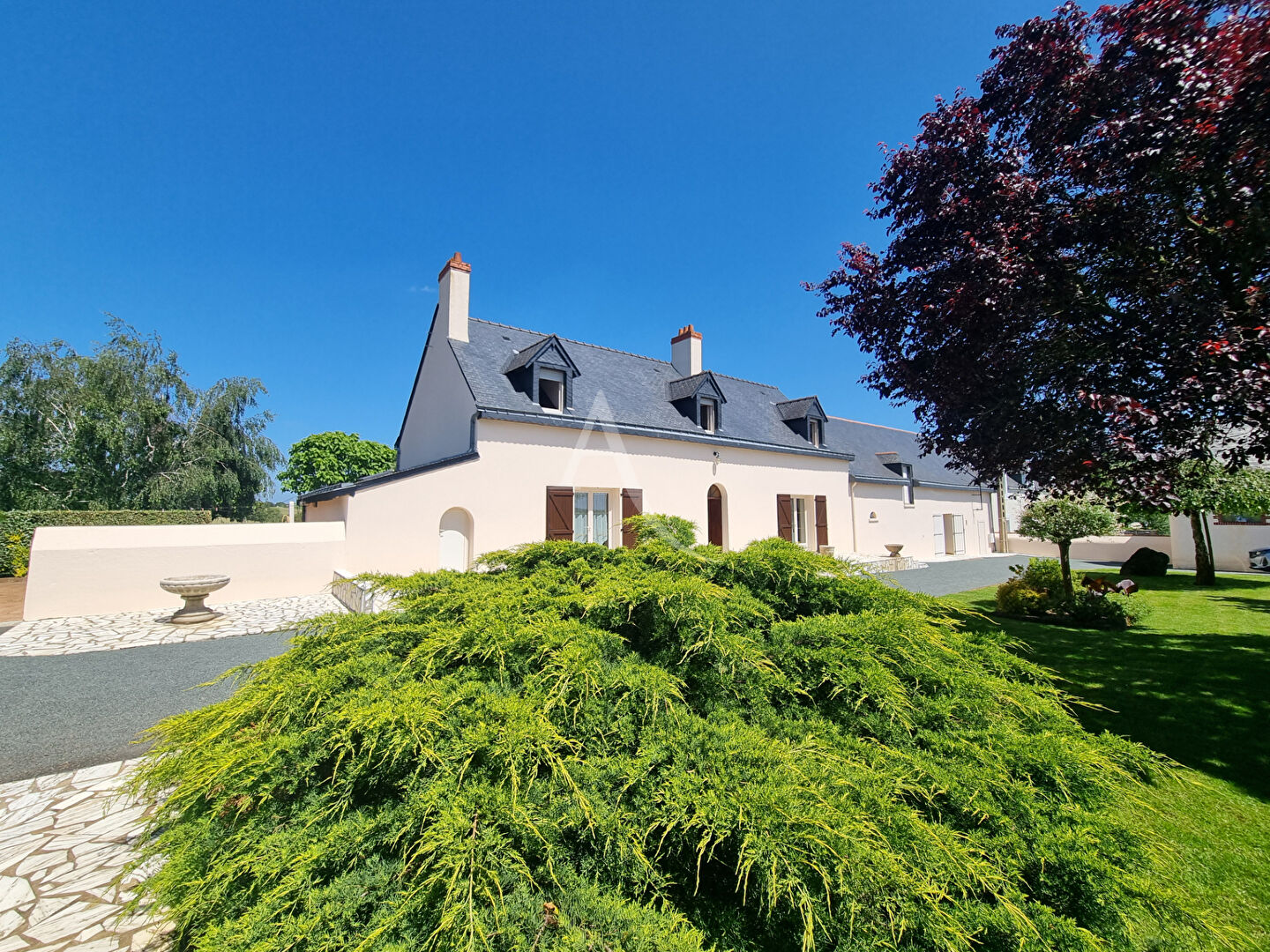 Agence immobilière de 
 L'ADRESSE 49 - L'ADRESSE CHALONNES SUR LOIRE 
