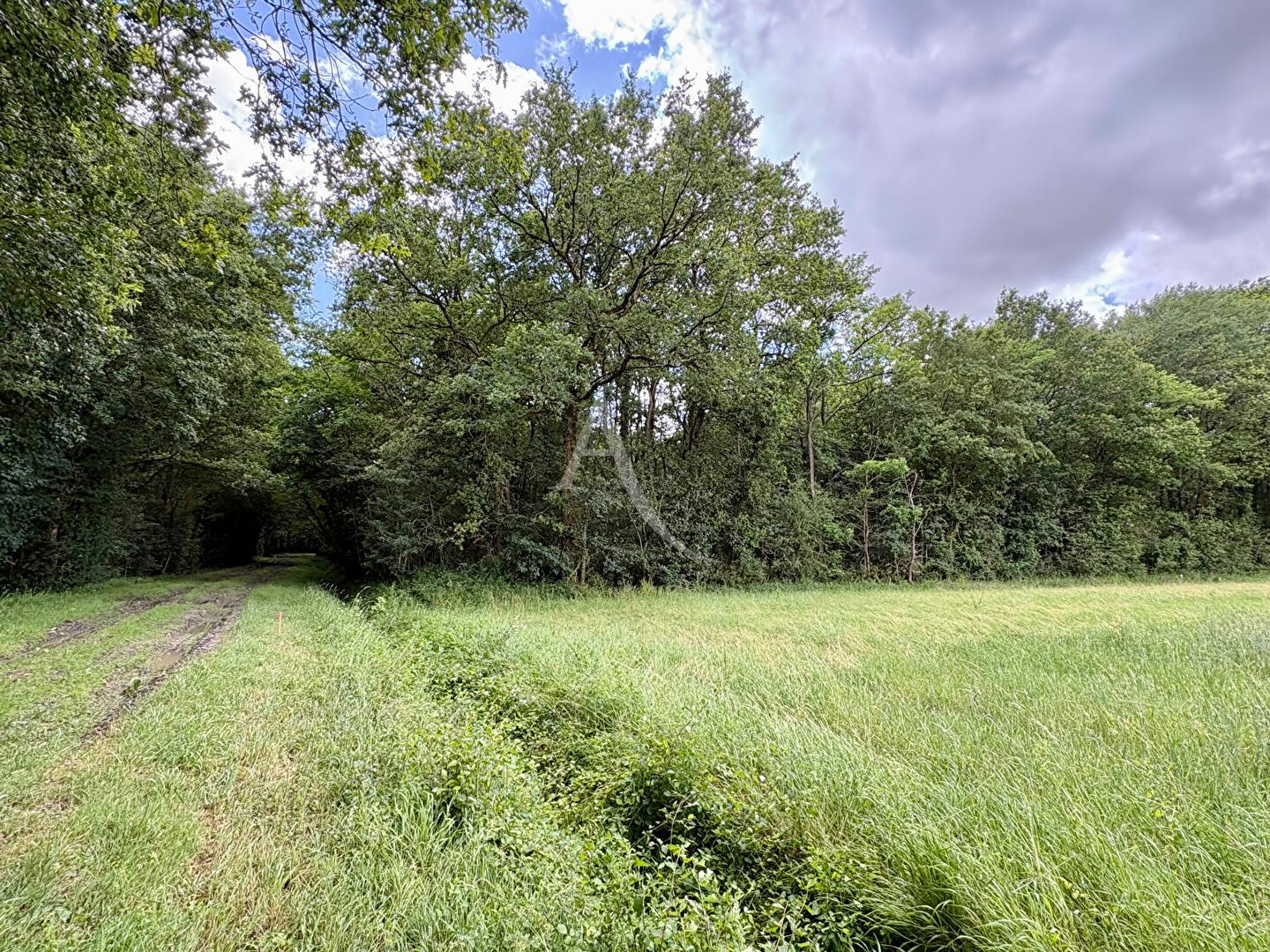 Agence immobilière de L'ADRESSE 49 - L'ADRESSE DE TRELAZE