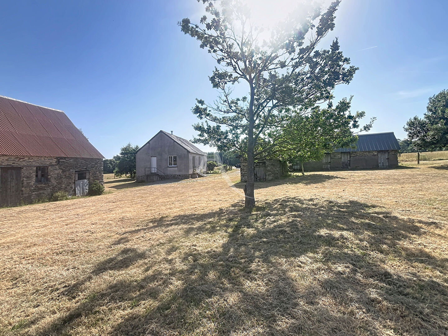 Agence immobilière de L'ADRESSE 49 - L'ADRESSE DE SEGRE
