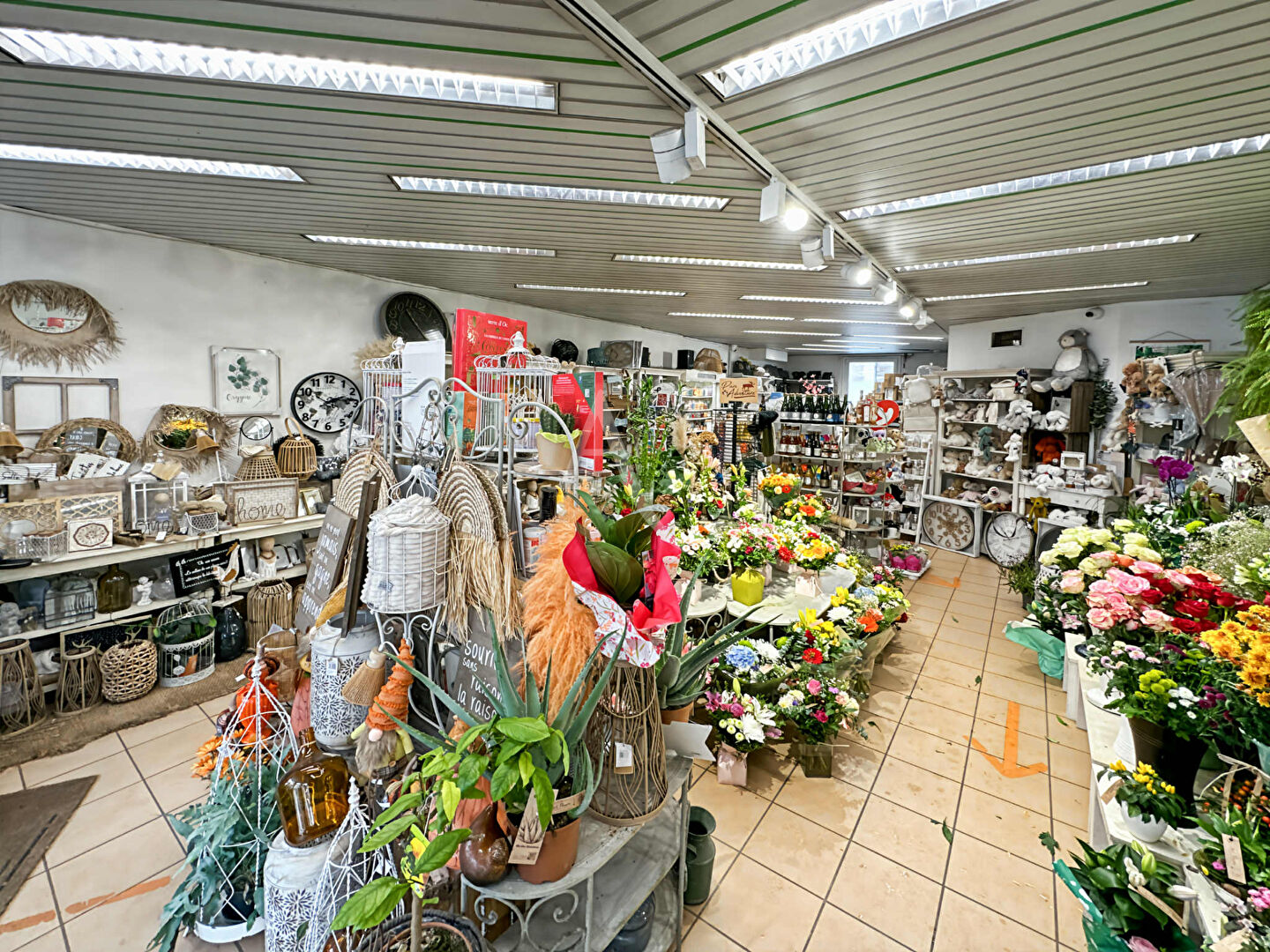 Photo Fonds de commerce Fleurs Etrepagny image 3/5