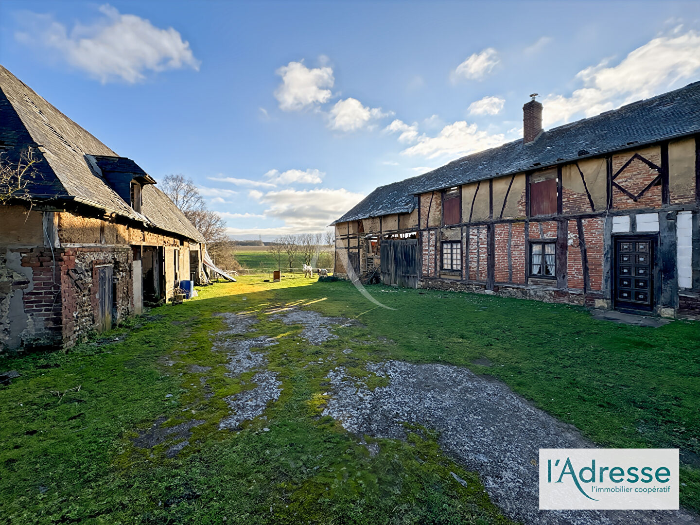 Agence immobilière de L'Adresse BOILLET IMMOBILIER - L'ADRESSE - BDS TRANSACTIONS