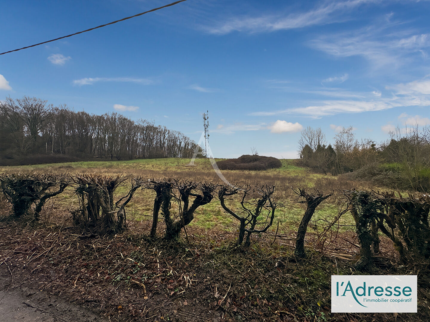 Agence immobilière de L'Adresse BOILLET IMMOBILIER - L'ADRESSE - BDS TRANSACTIONS