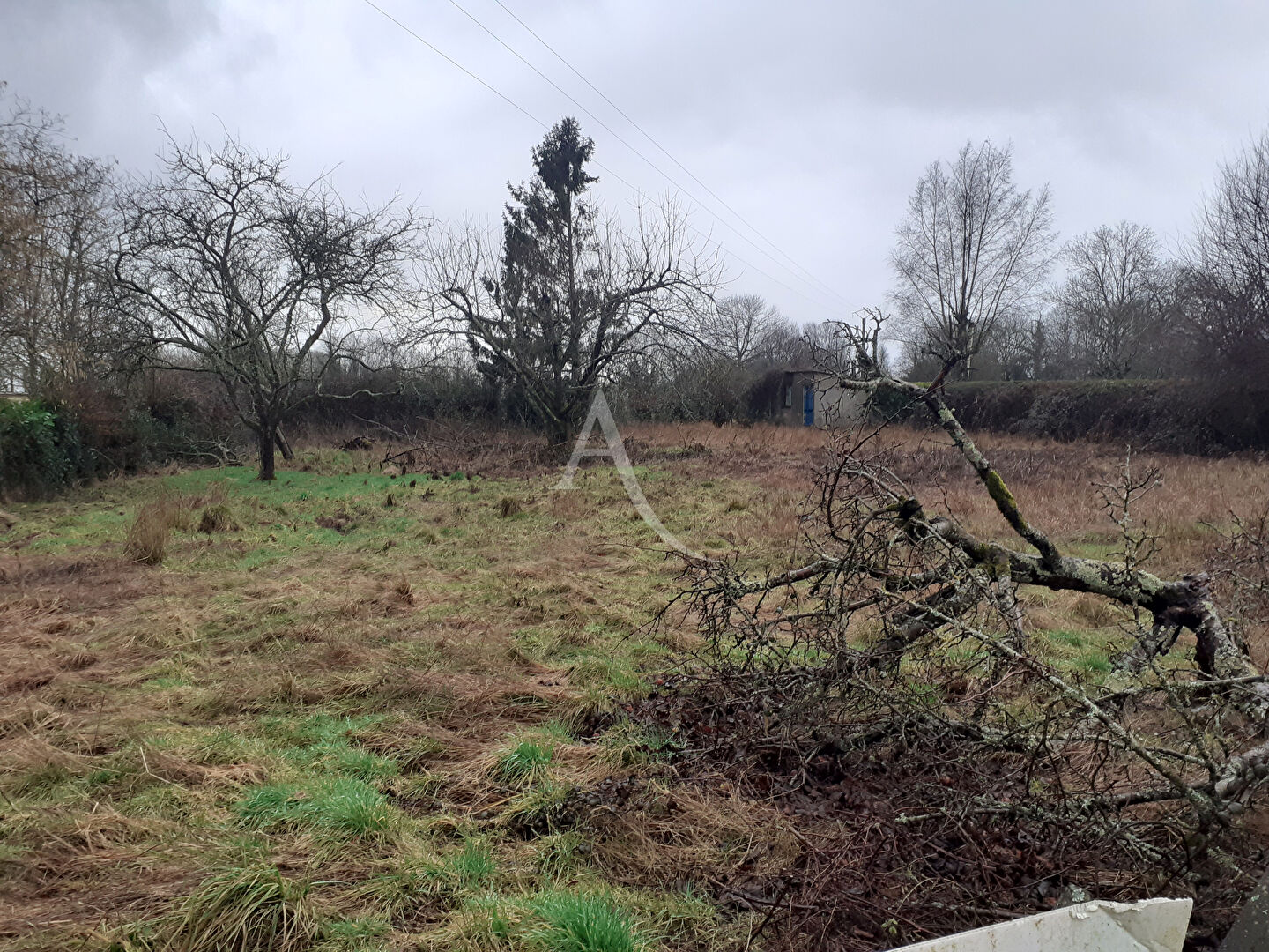 Agence immobilière de 
 L'Adresse BOILLET IMMOBILIER - L'ADRESSE GOURNAY EN BRAY 
