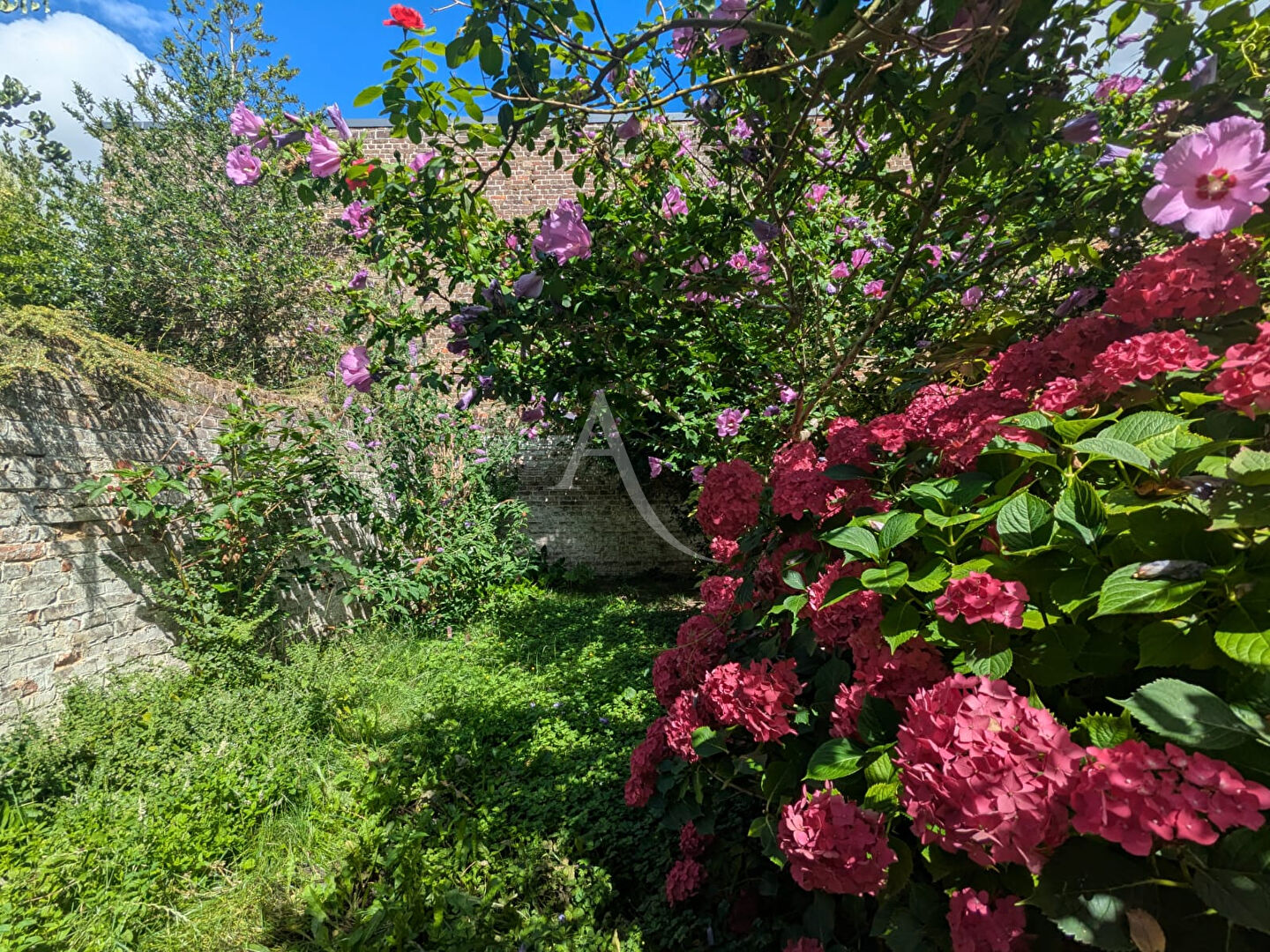 Agence immobilière de L'Adresse Amiens Sud