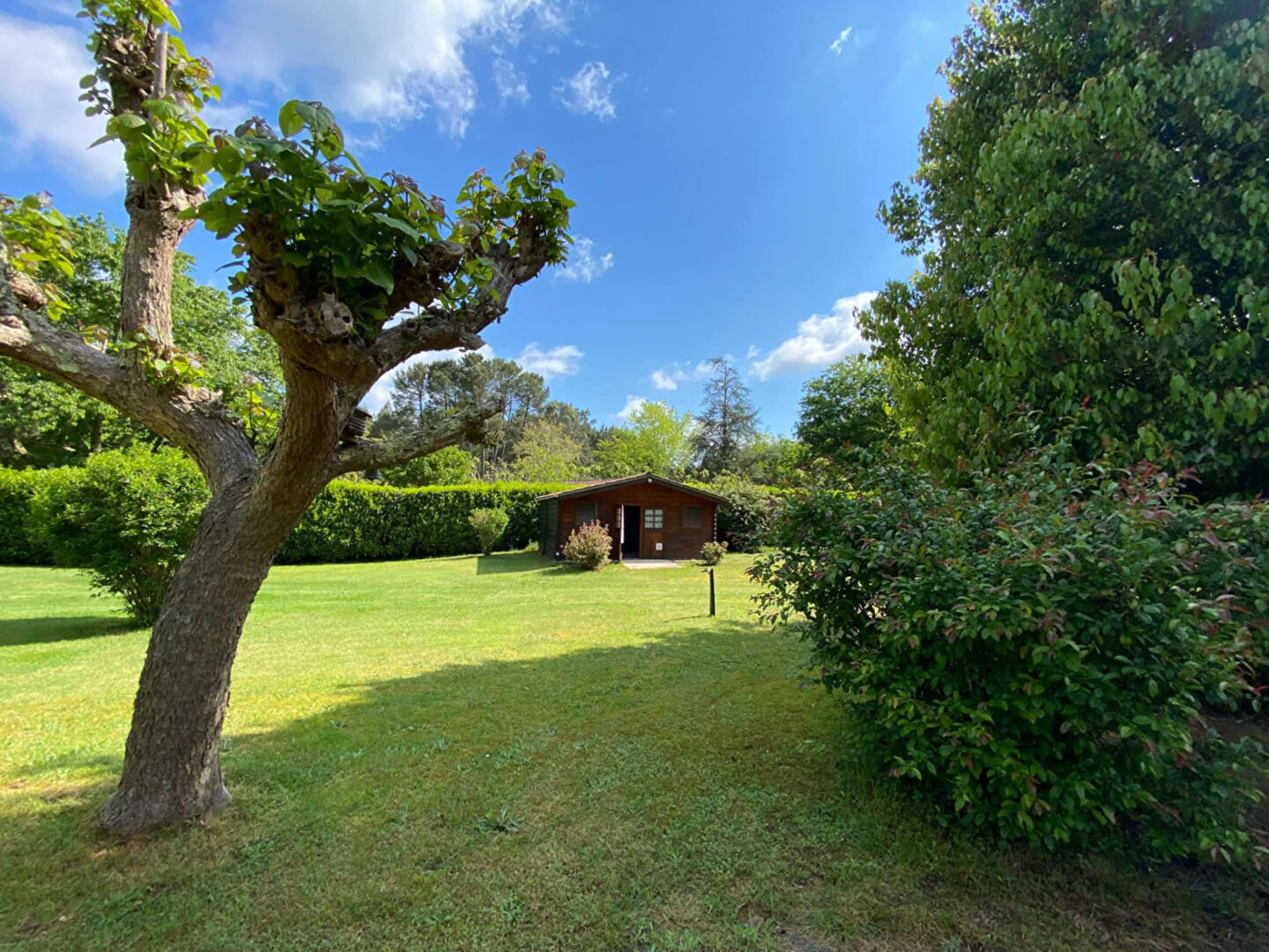 Photo MAISON PLAIN-PIED + DEPENDANCES image 3/6