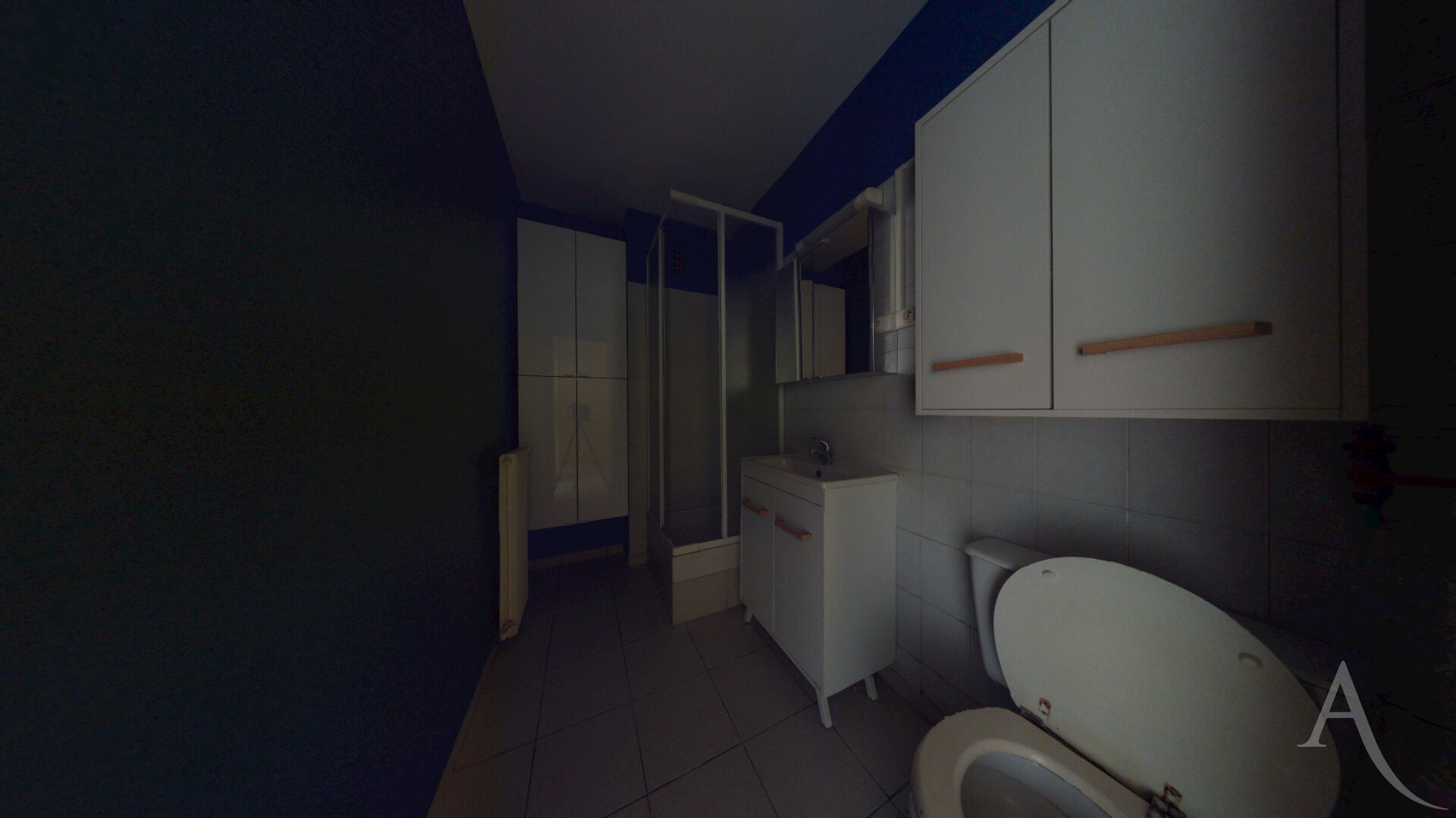 Photo Appartement Grenoble 1 pièce(s) 26.35 m2 image 4/4