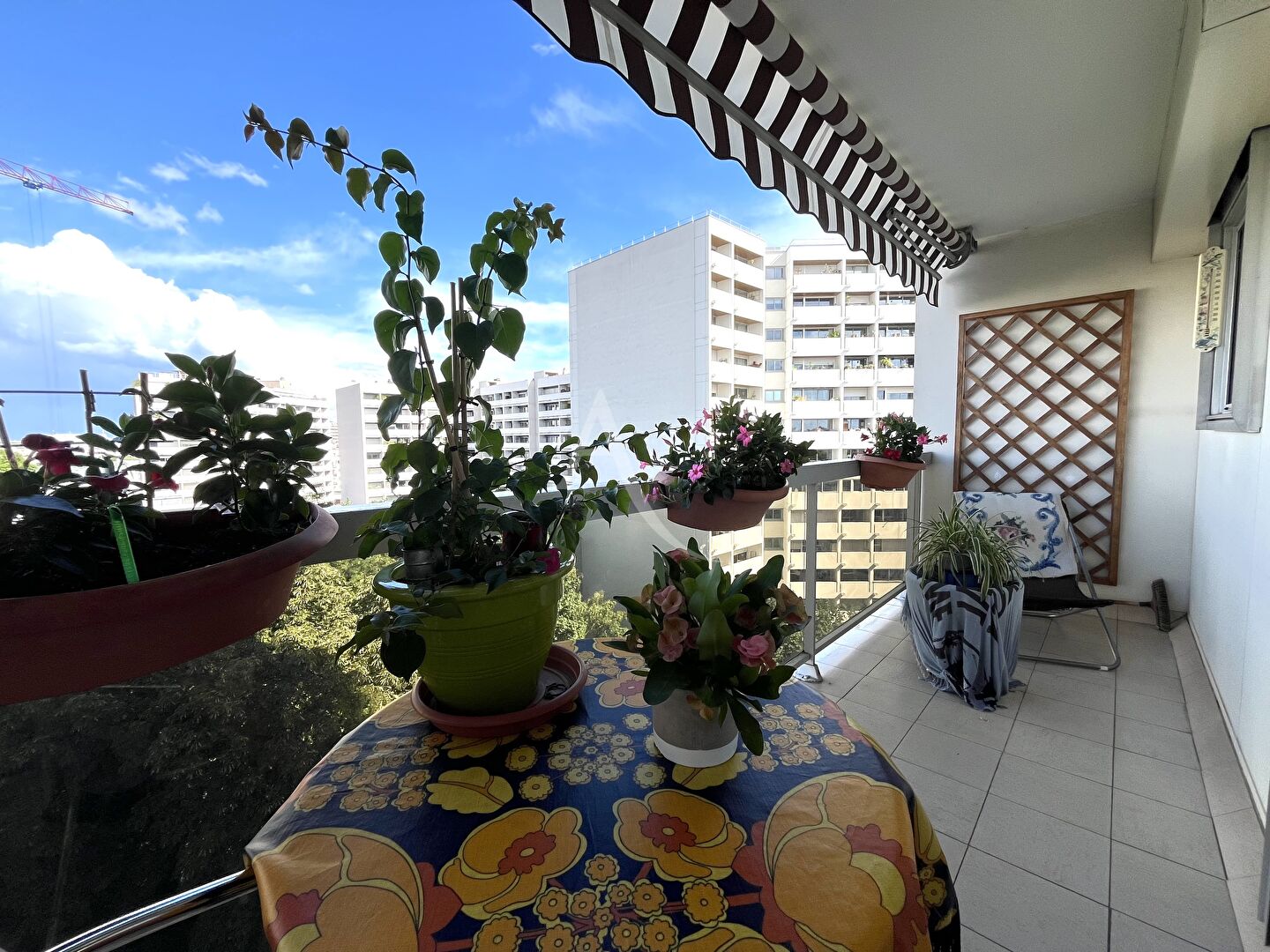 VIAGER OCCUPE SANS RENTE