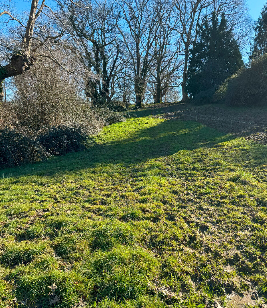 Photo Terrain proche Morlaas image 1/1