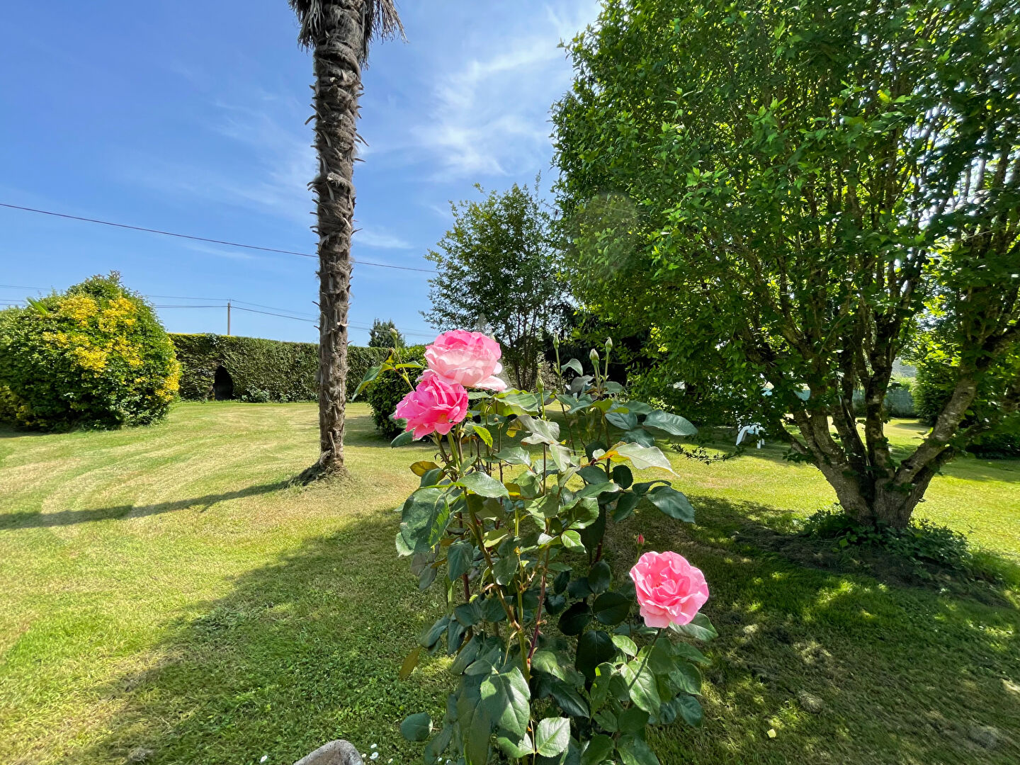 Photo Maison familiale sur joli terrain arboré, proche Morlàas image 3/6