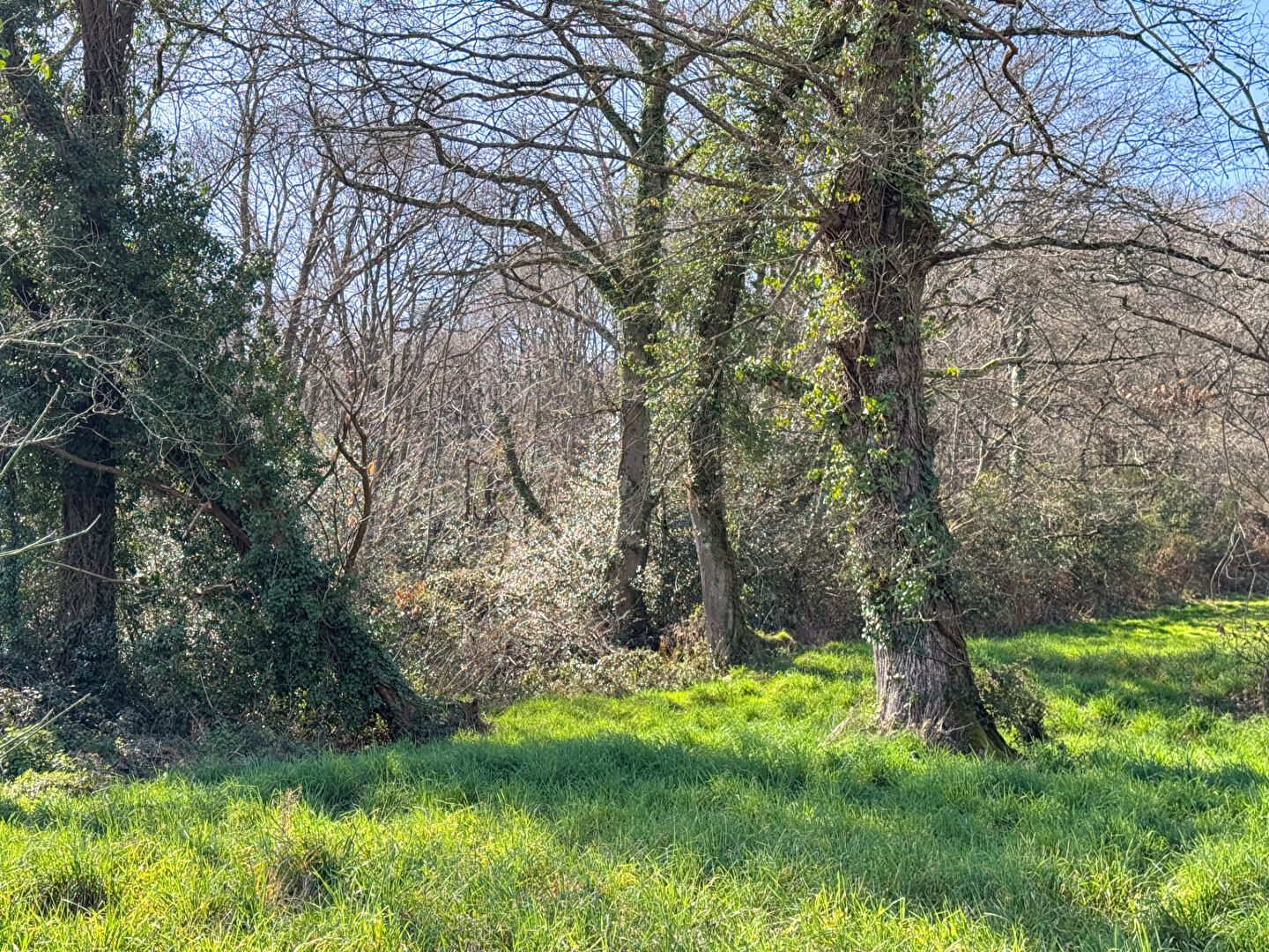 Photo Maison Bentayou Seree image 5/5