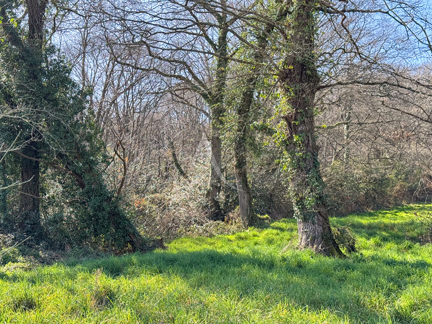 Photo Maison Bentayou Seree image 5/5