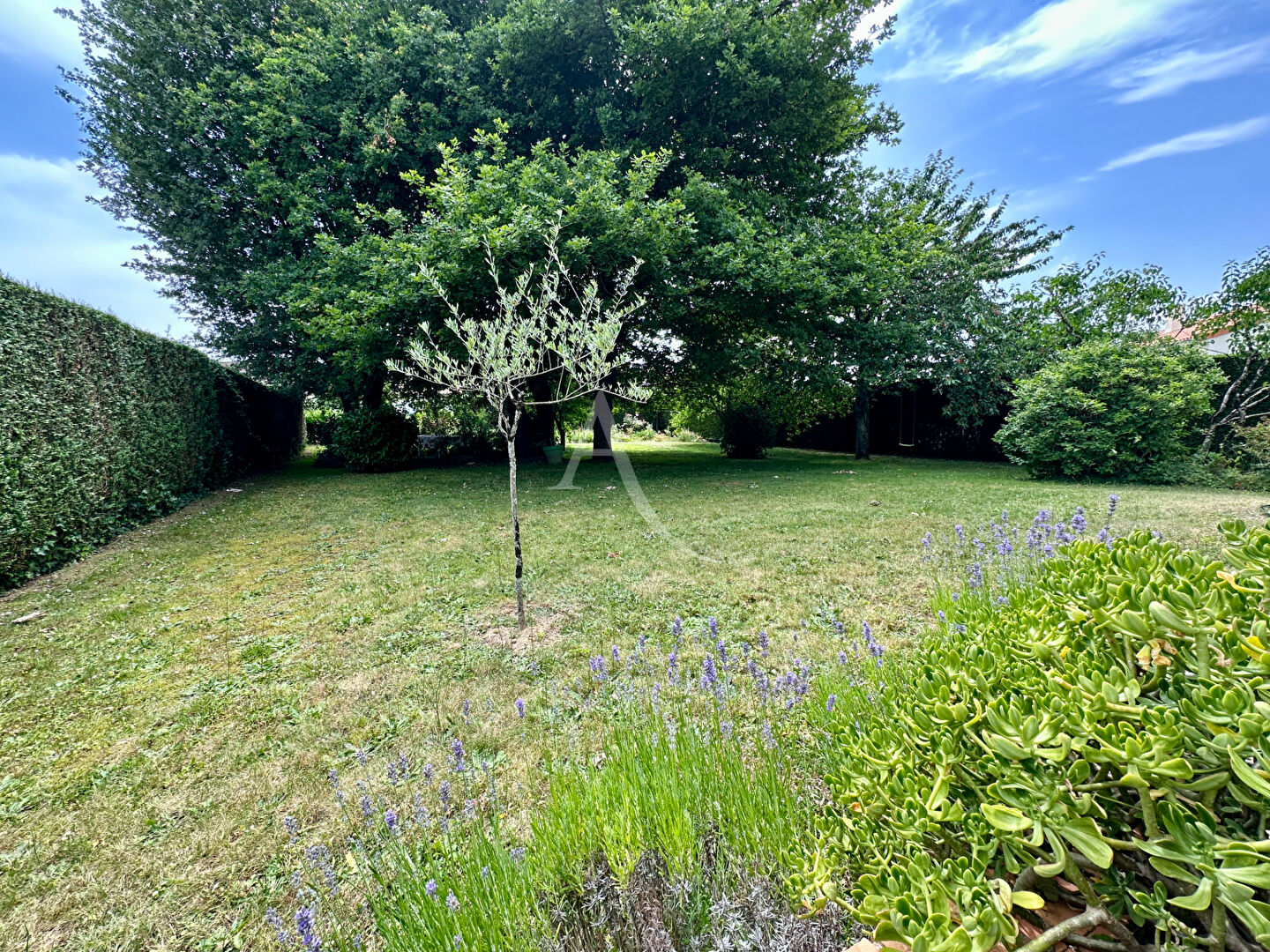 Photo FONTAINE LE COMTE - BOURG - PROCHE COMMODITES - MAISON FAMILIALE - 4 CHAMBRES - image 2/4