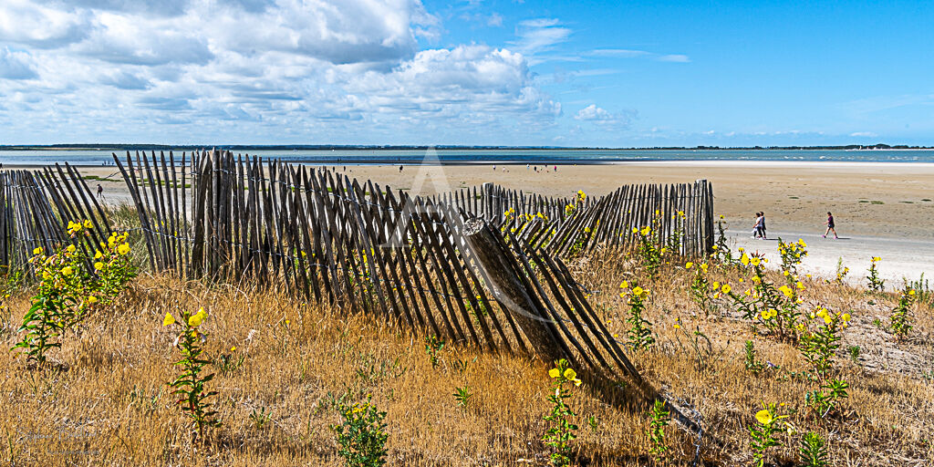 Terrain à bâtir Le Crotoy