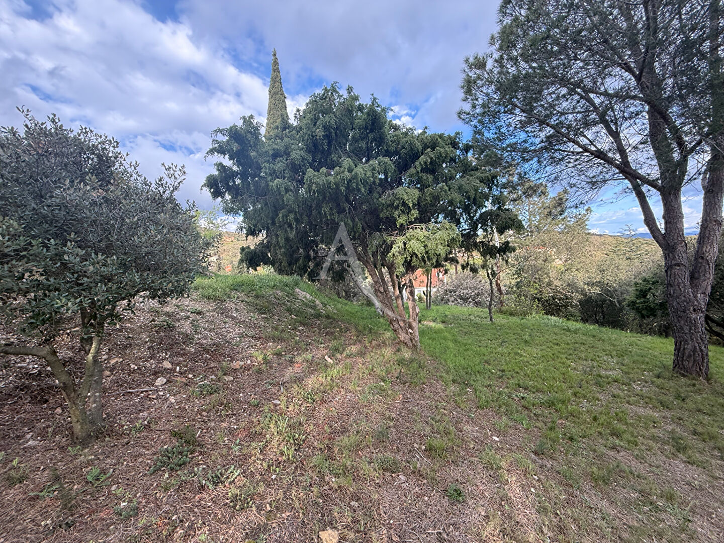 Photo Terrain à batir de 1579 m² image 4/5