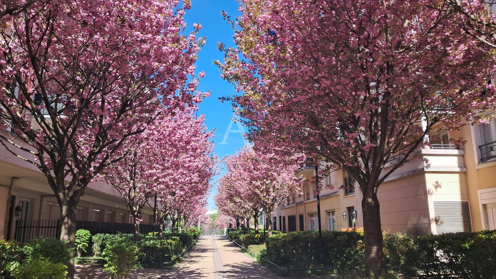 Photo Appartement Villeneuve La Garenne 3 pièces de 70,05m2 image 6/6