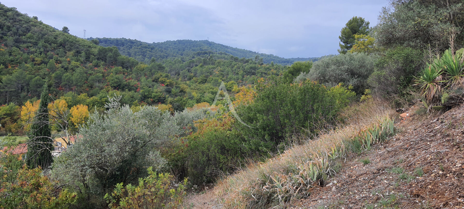 Agence immobilière de l'Adresse Vinon-sur-Verdon