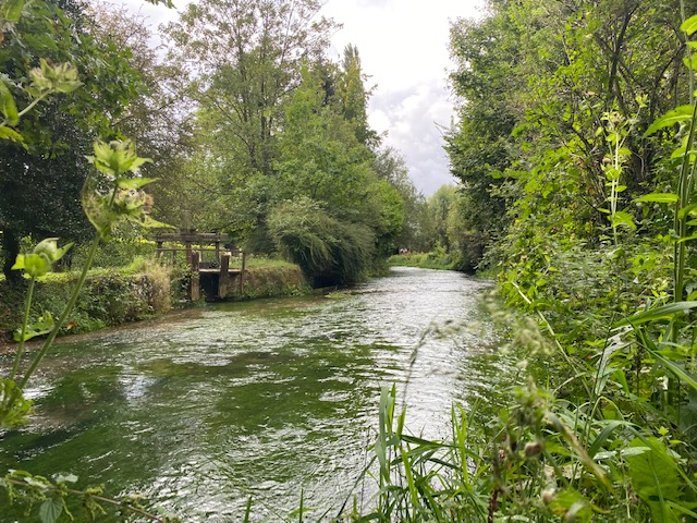 Agence immobilière de ESPACE IMMO MONTVILLE