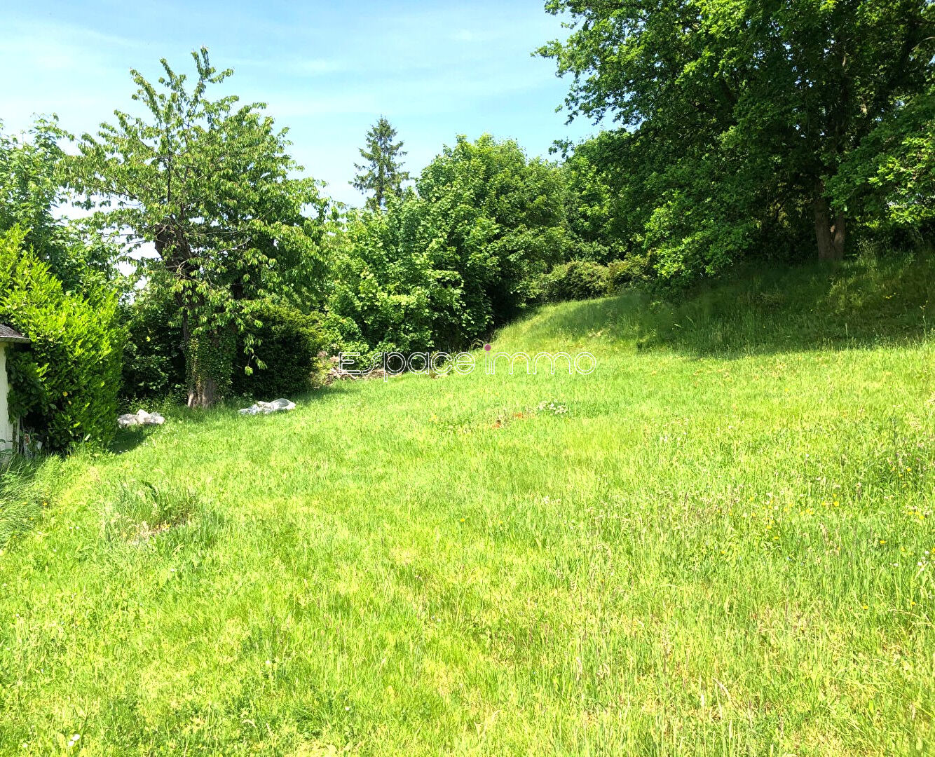 Agence immobilière de ESPACE IMMO MONTVILLE