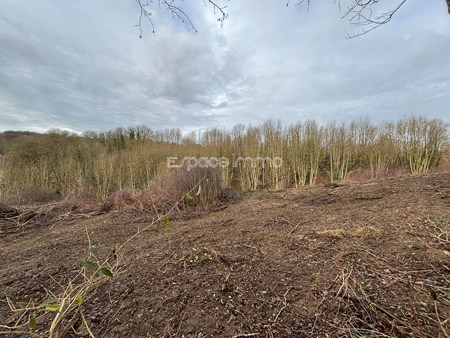 Agence immobilière de ESPACE IMMO MONTVILLE