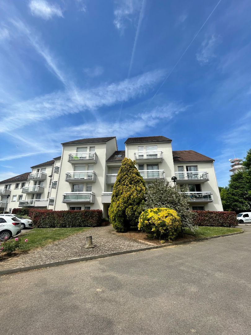 Photo Studio - MESNIL ESNARD - CAVE image 6/6