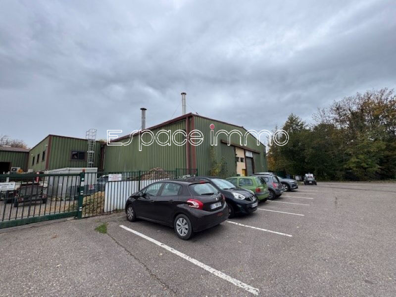 Agence immobilière de ESPACE IMMO MONTVILLE