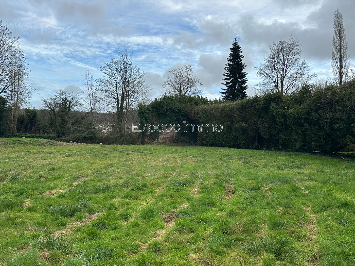 Agence immobilière de ESPACE IMMO MONTVILLE