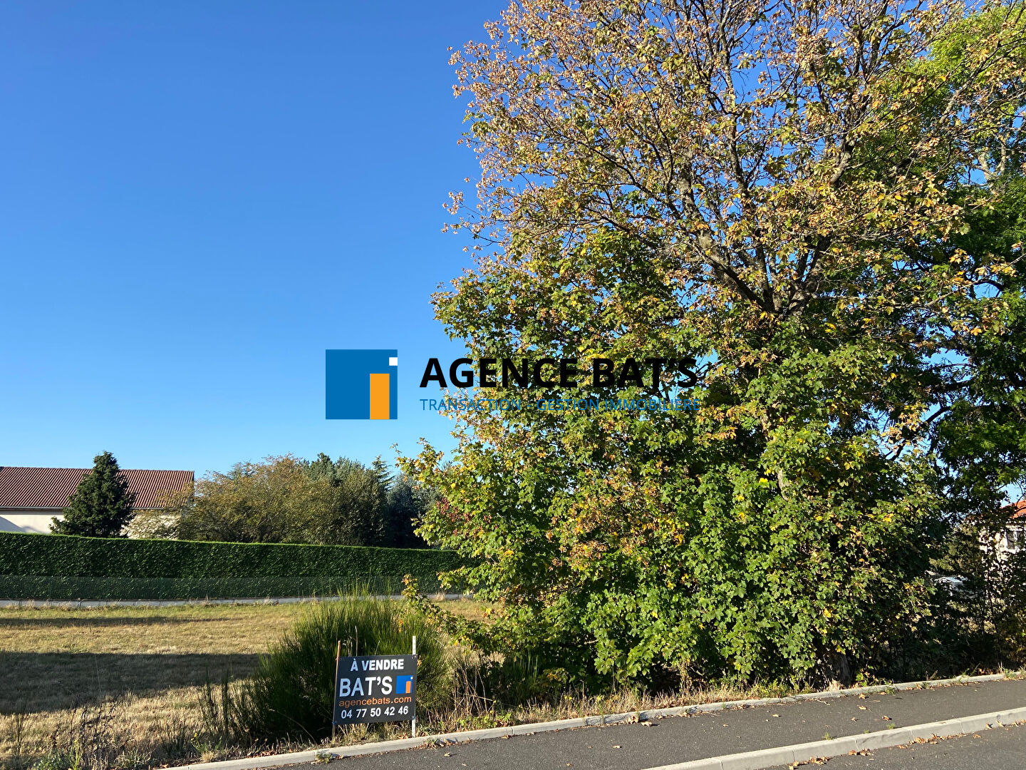 Photo Terrain à Bâtir / Sainte Sigolène image 3/6