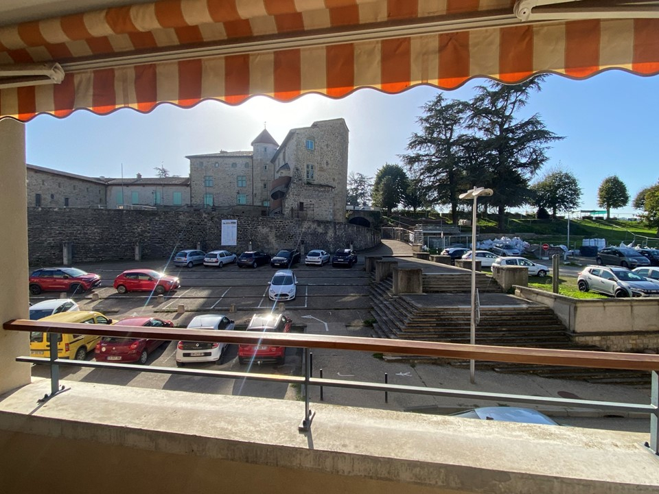 Appartement Roche La Moliere 4 pièce(s) 99.53 m2