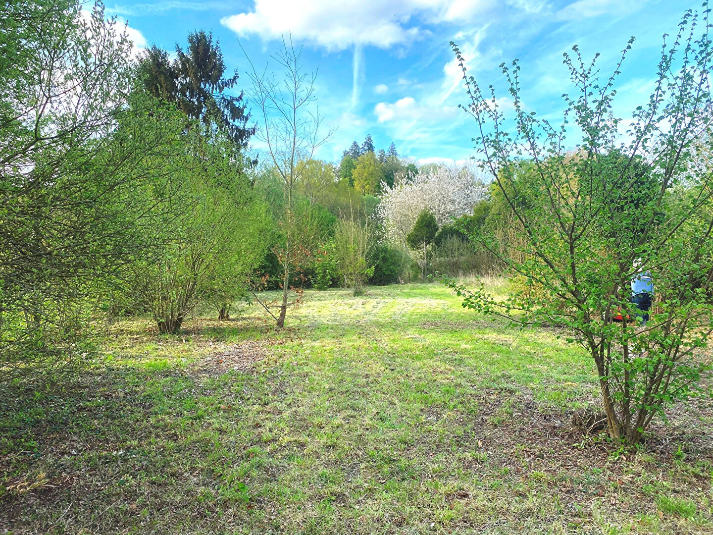 Photo 11km LA FERTE-BERNARD image 3/6