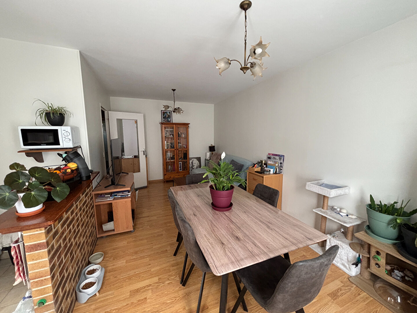 LA FERTE-BERNARD centre, appartement type T2 de 48m²