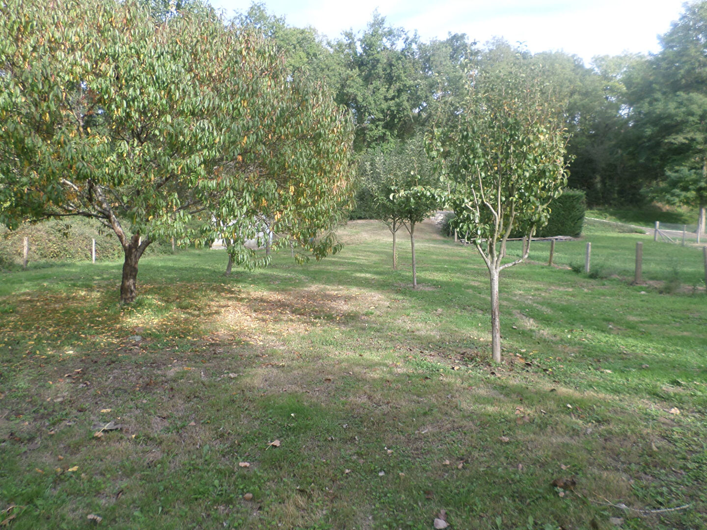 Photo Civaux !!  en bord de vienne !! image 3/5