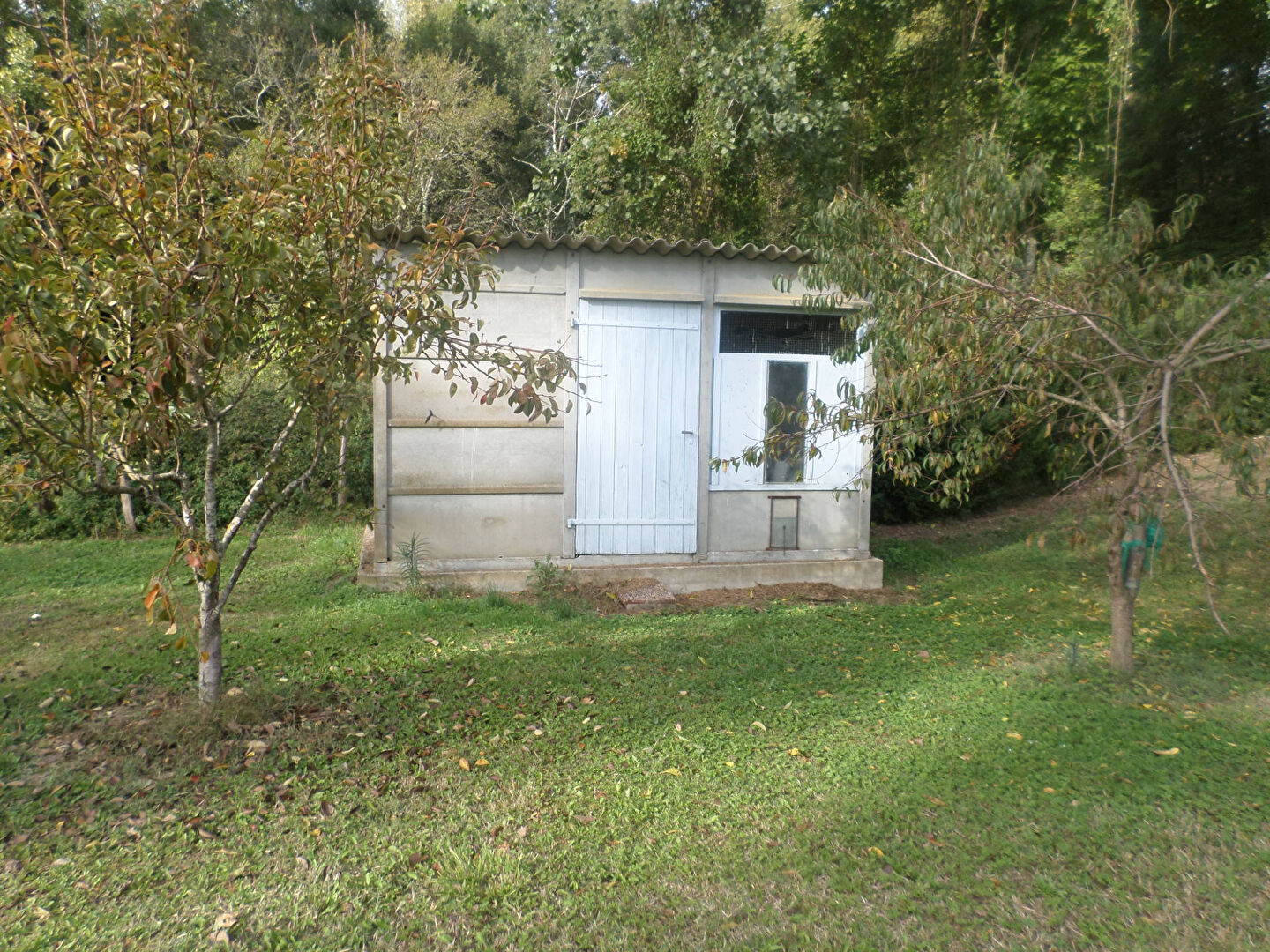 Photo Civaux !!  en bord de vienne !! image 4/5